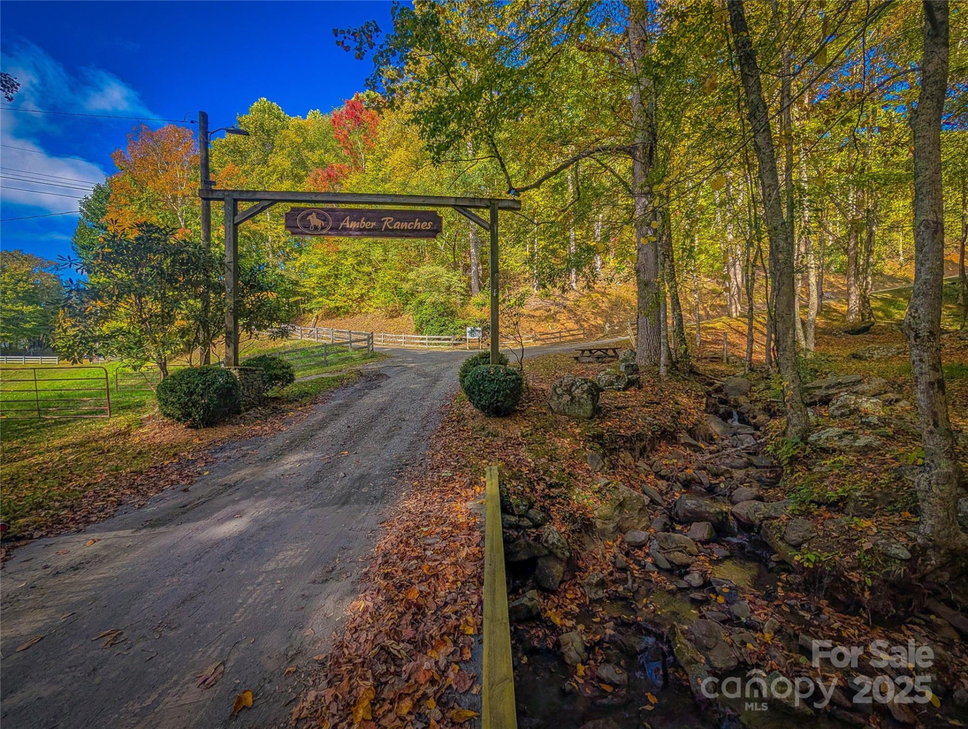 0000 Nicholas Knoll #41 - Photo 13