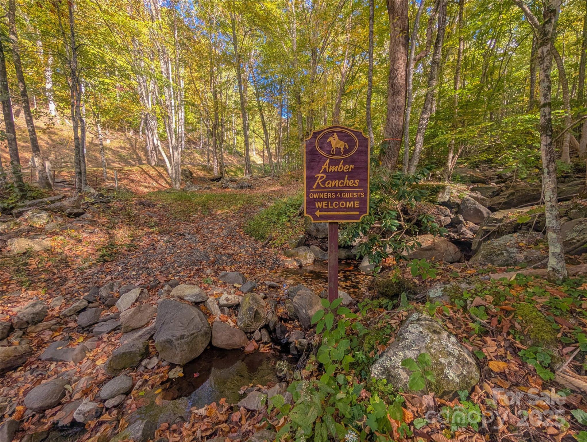 0000 Nicholas Knoll #41 - Photo 14