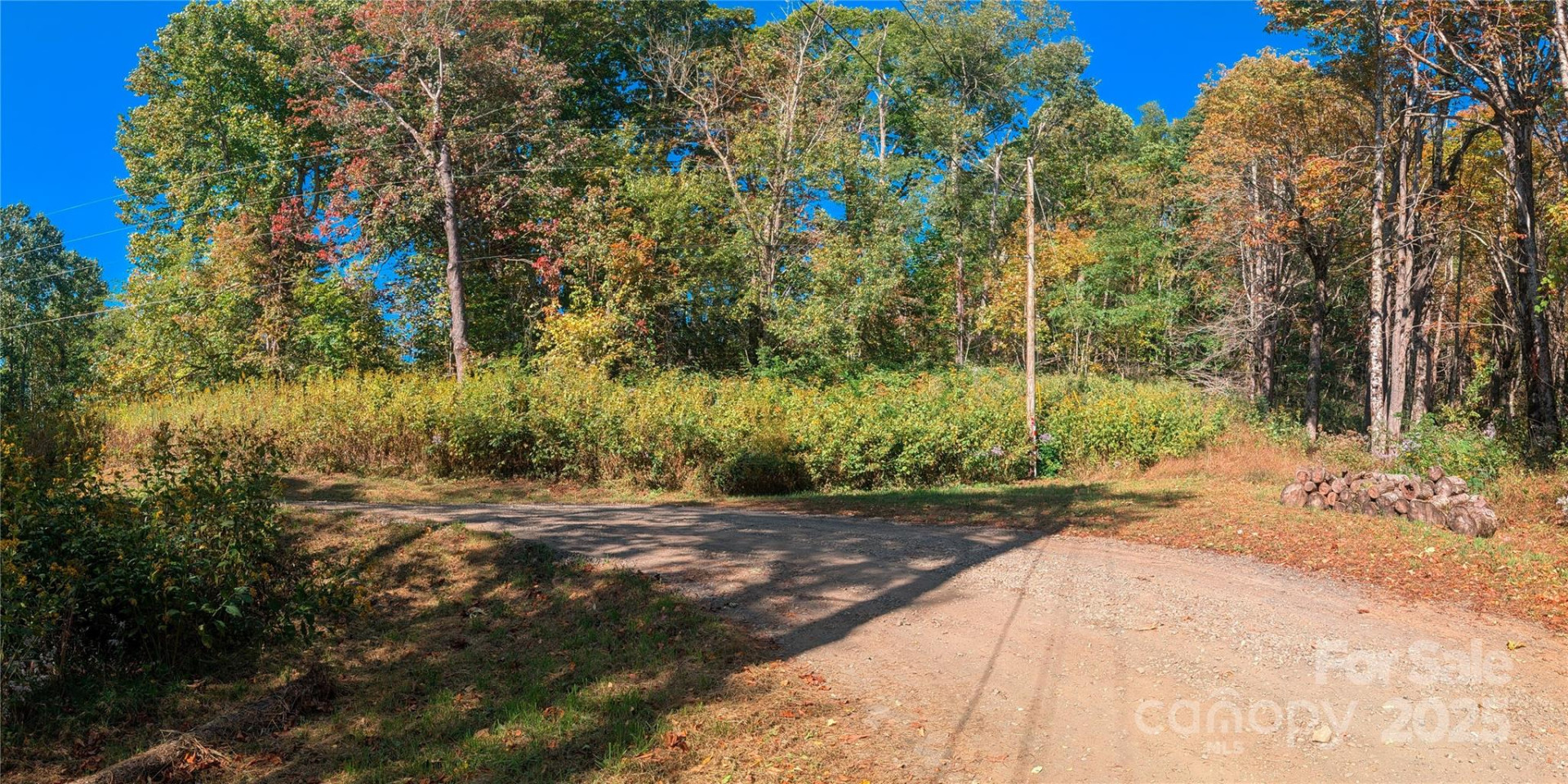 0000 Nicholas Knoll #41 - Photo 3