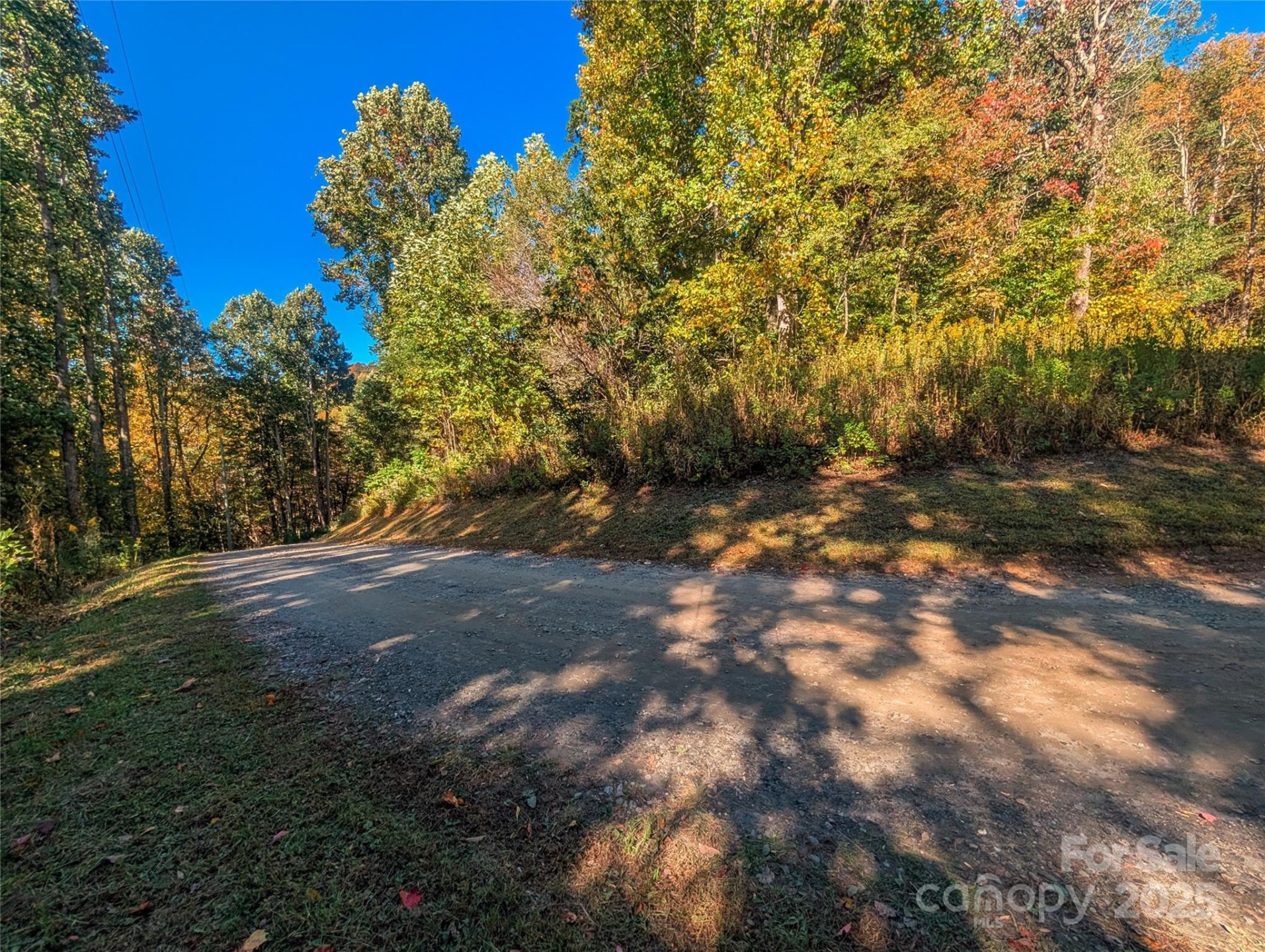 0000 Nicholas Knoll #41 - Photo 5