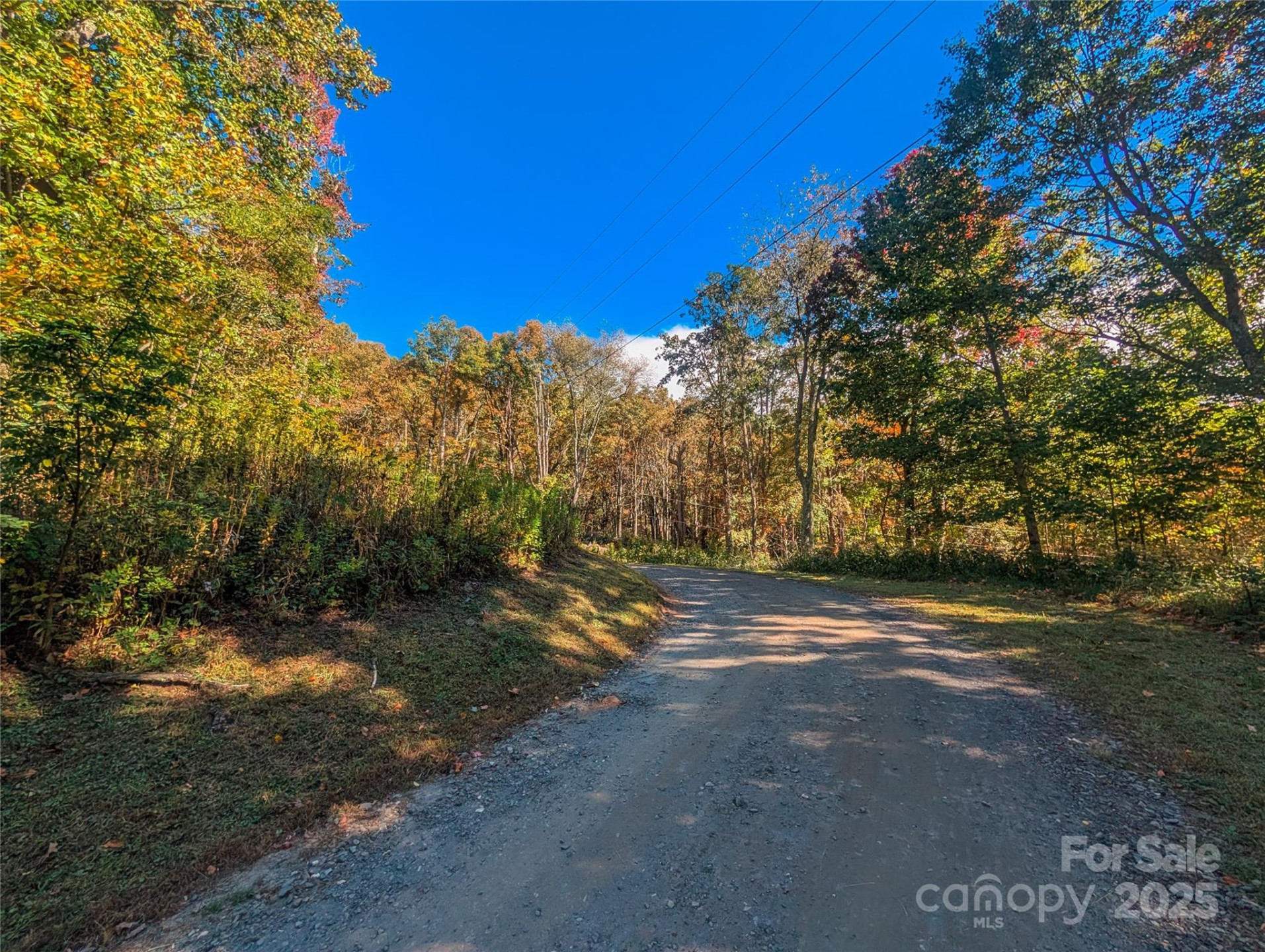 0000 Nicholas Knoll #41 - Photo 6