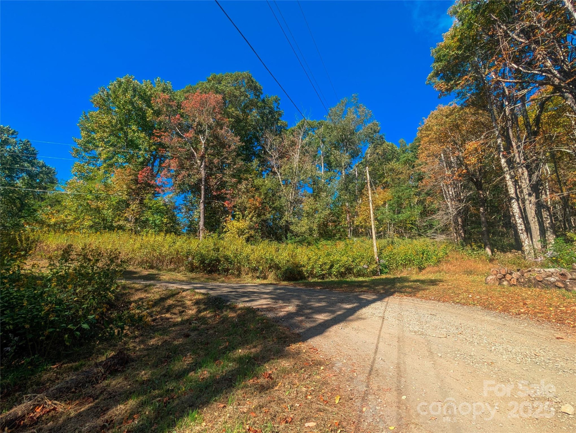 0000 Nicholas Knoll #41 - Photo 7