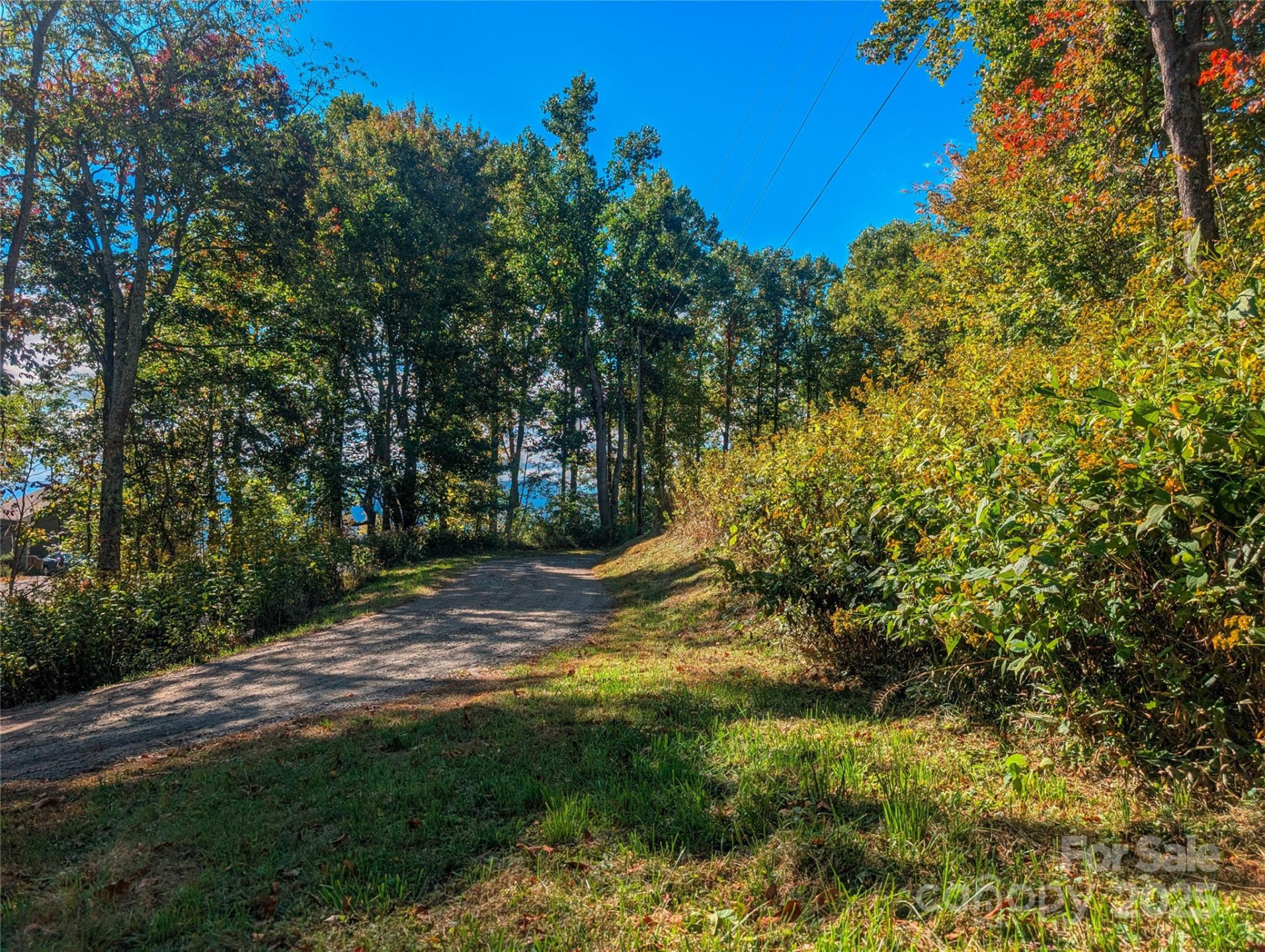 0000 Nicholas Knoll #41 - Photo 8