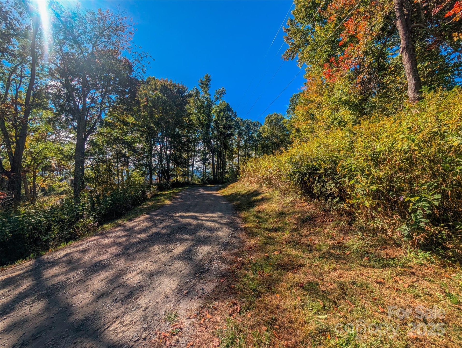 0000 Nicholas Knoll #41 - Photo 9