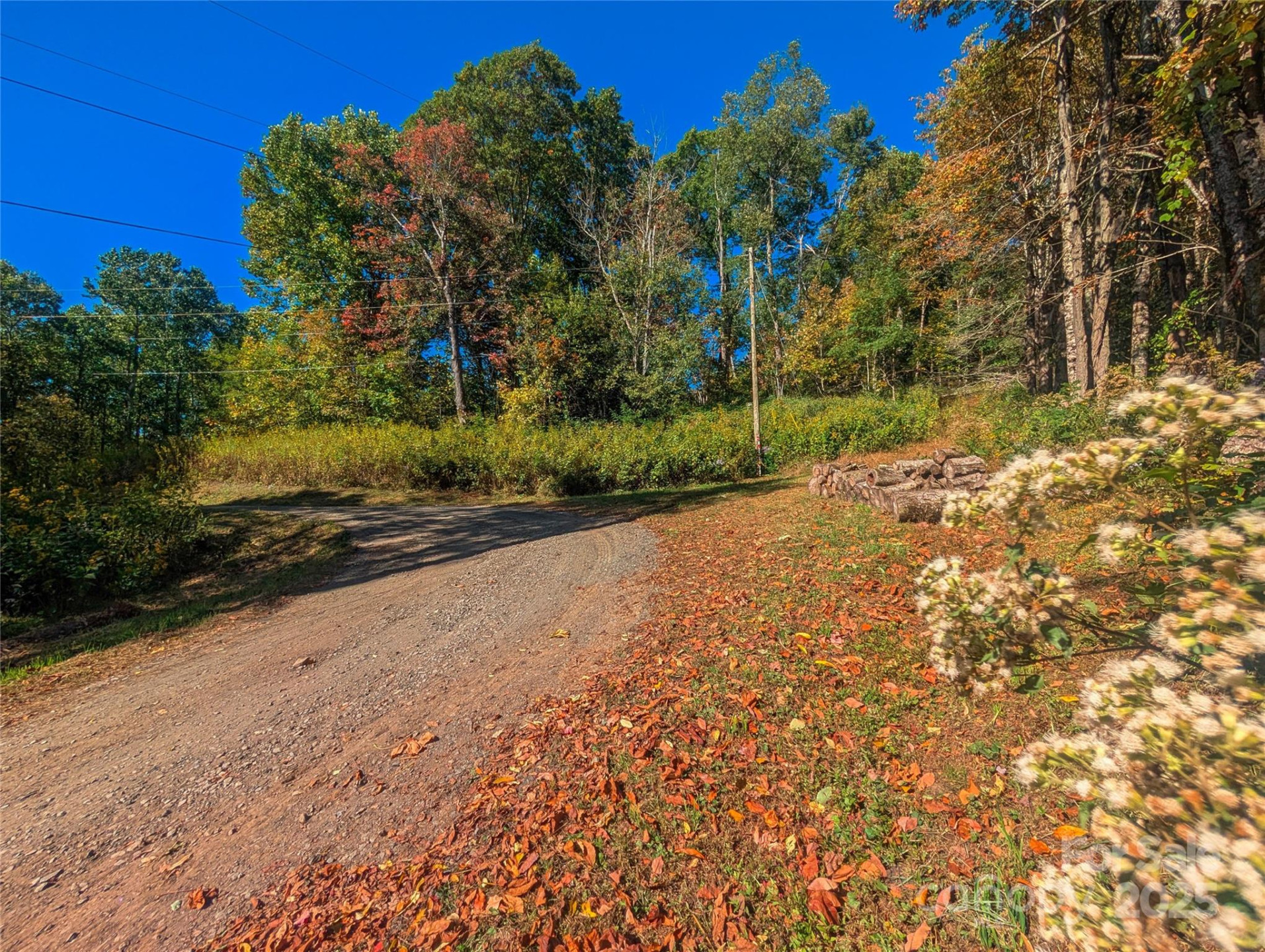 0000 Nicholas Knoll #41 - Photo 10