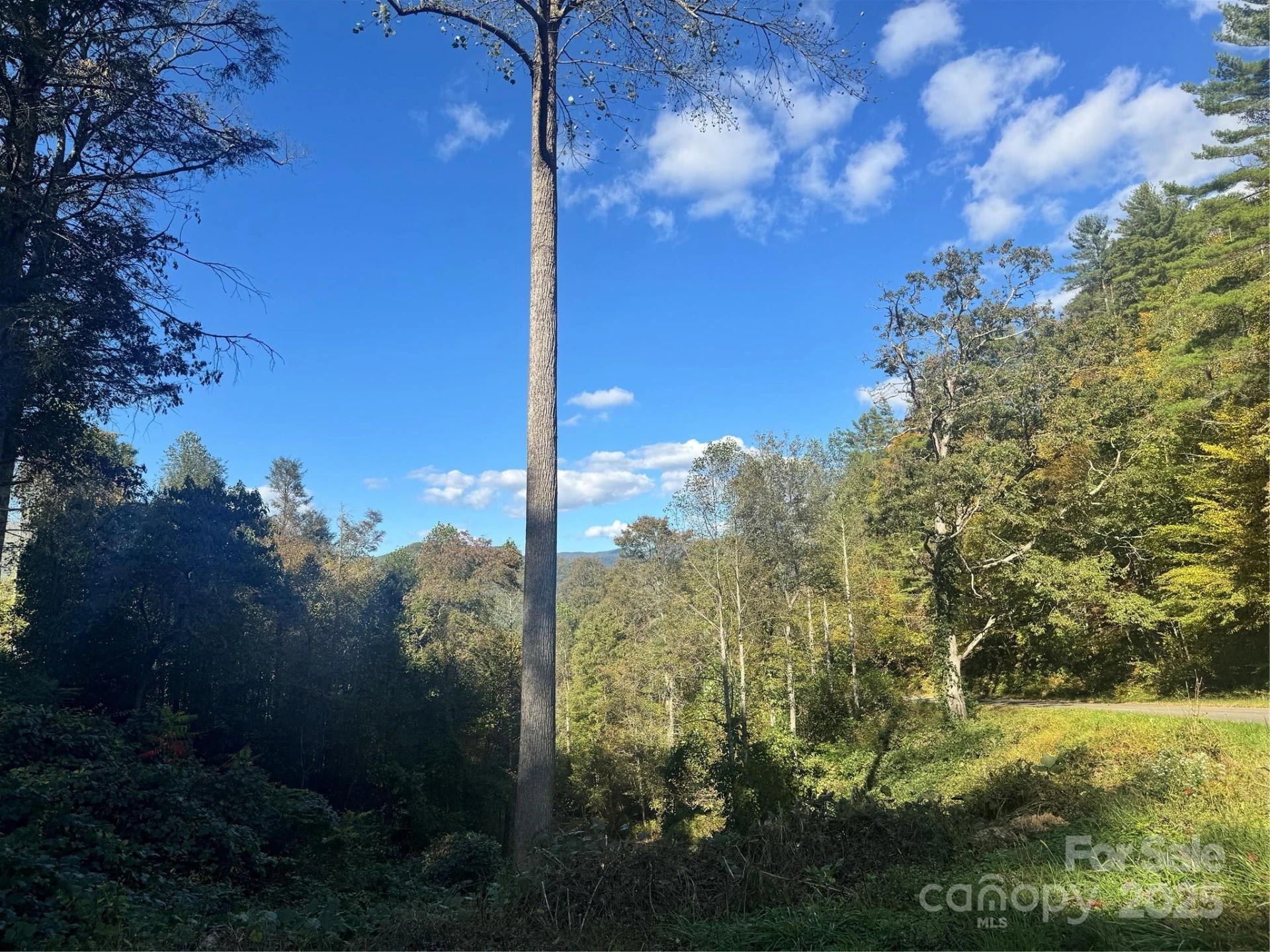 0 Cutshall Town Road - Photo 2