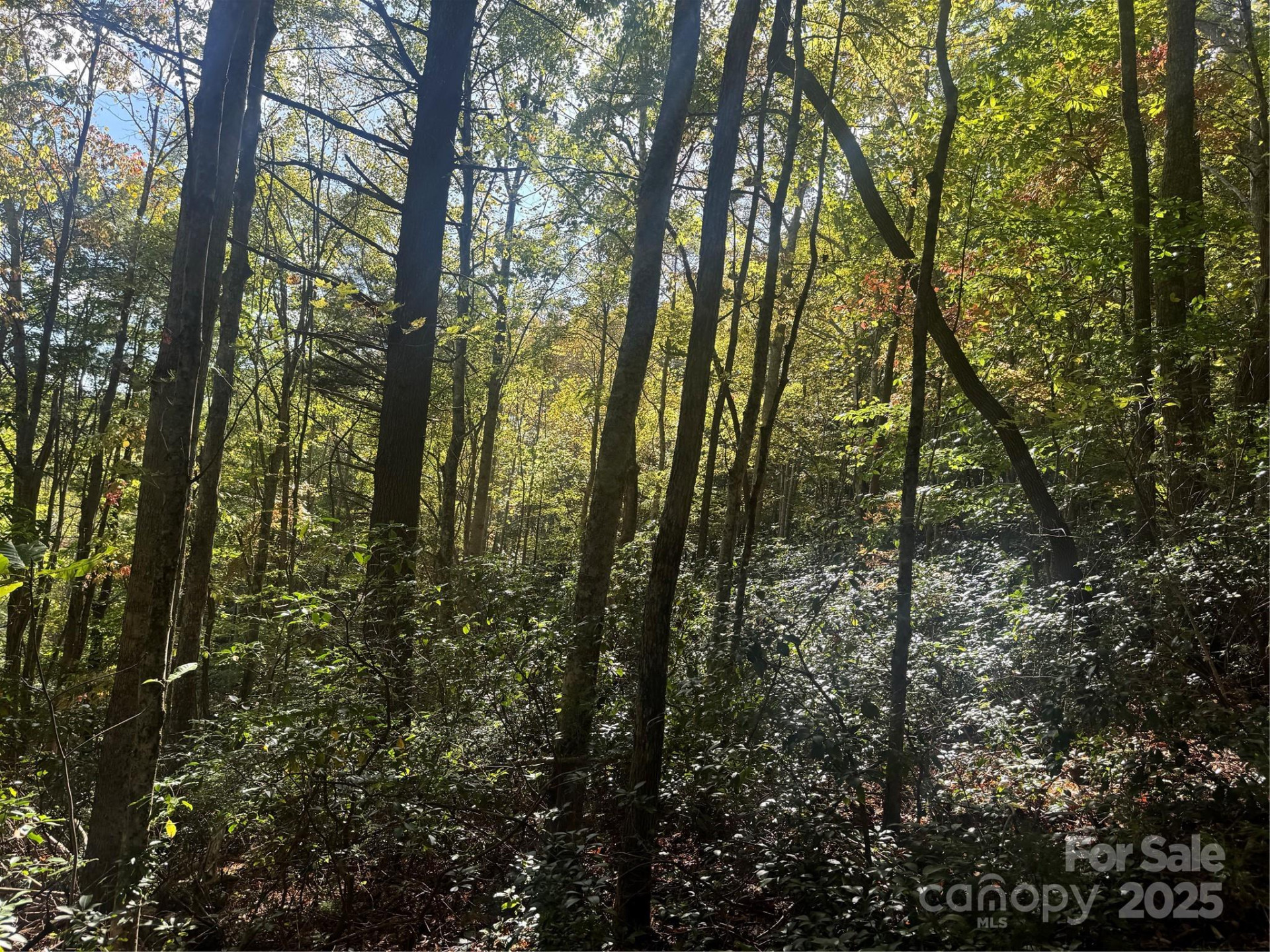 0 Cutshall Town Road - Photo 12