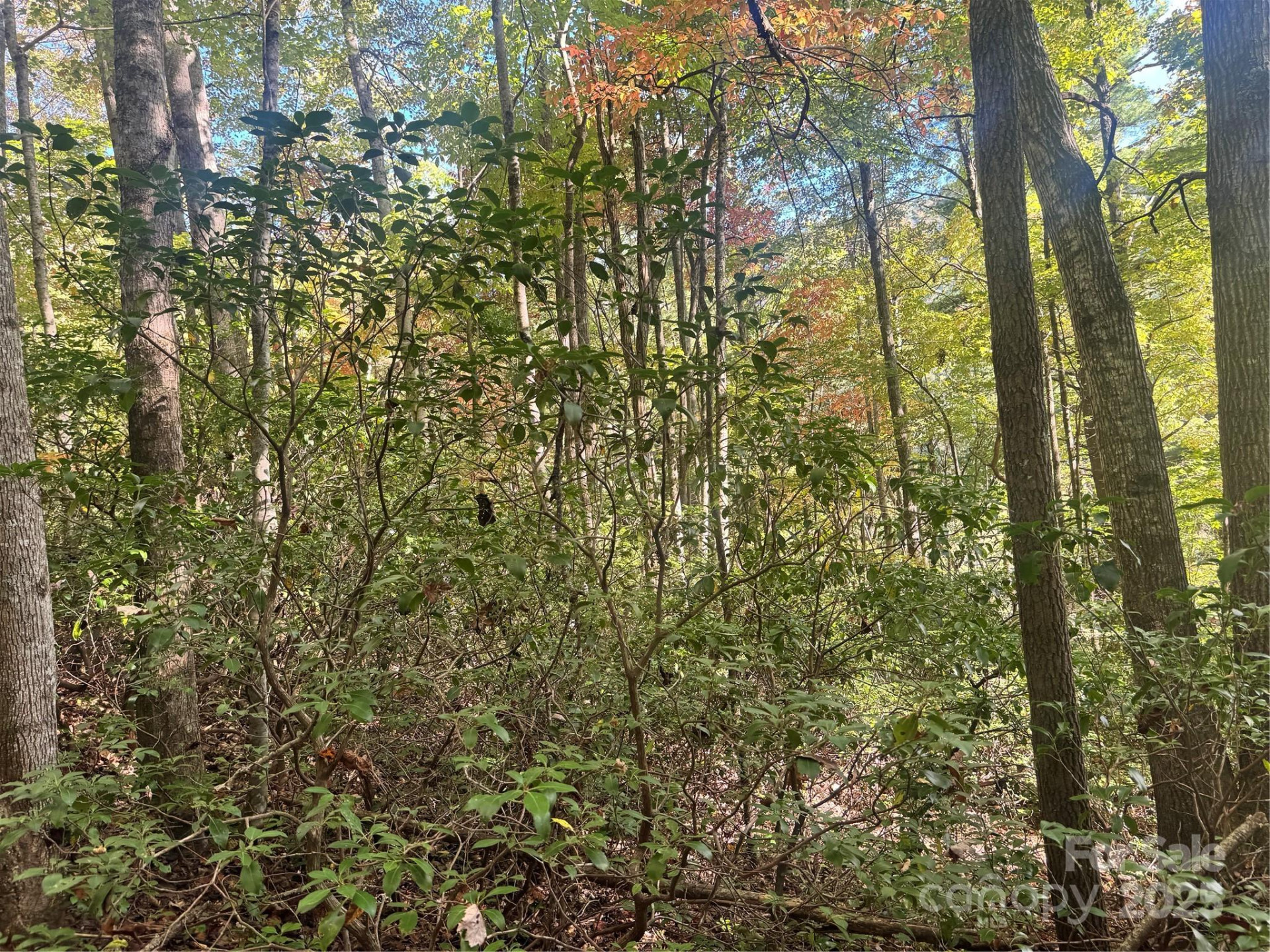 0 Cutshall Town Road - Photo 15