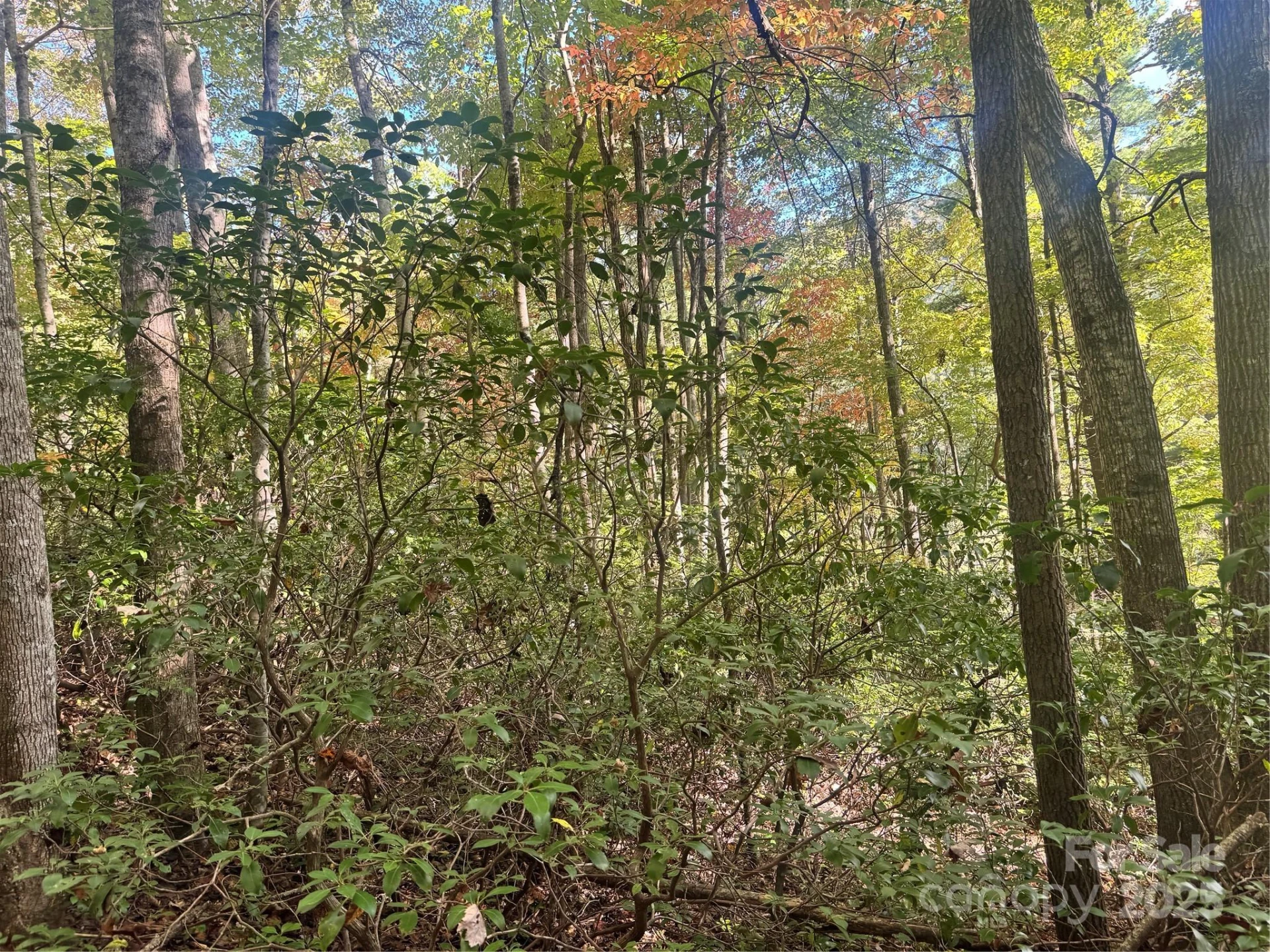 0 Cutshall Town Road - Photo 15