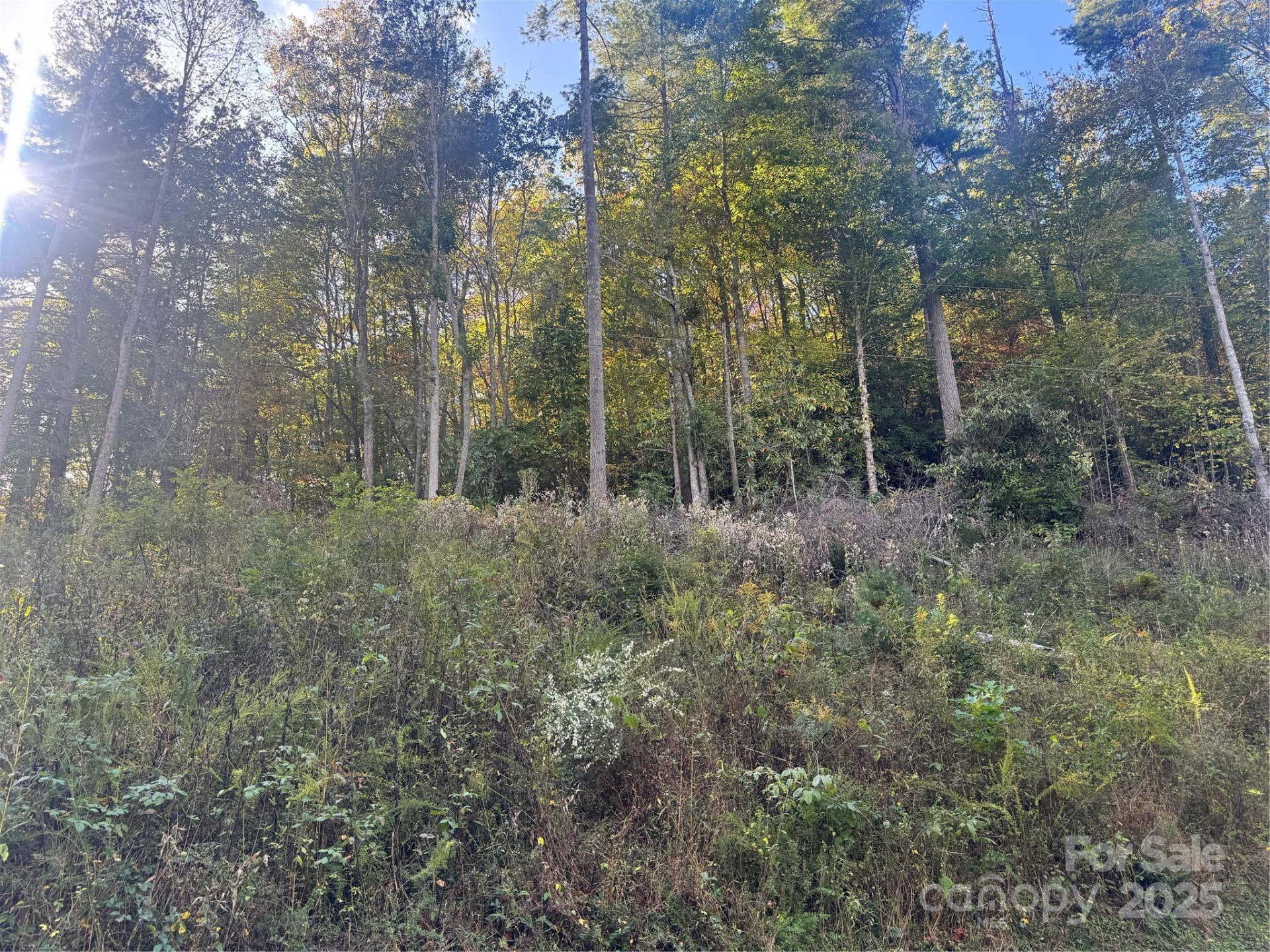 0 Cutshall Town Road - Photo 3