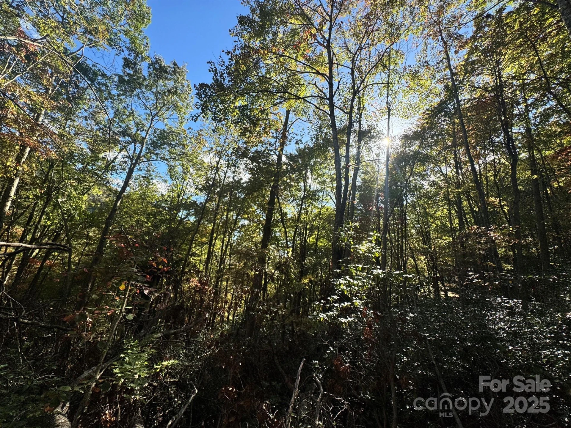 0 Cutshall Town Road - Photo 7
