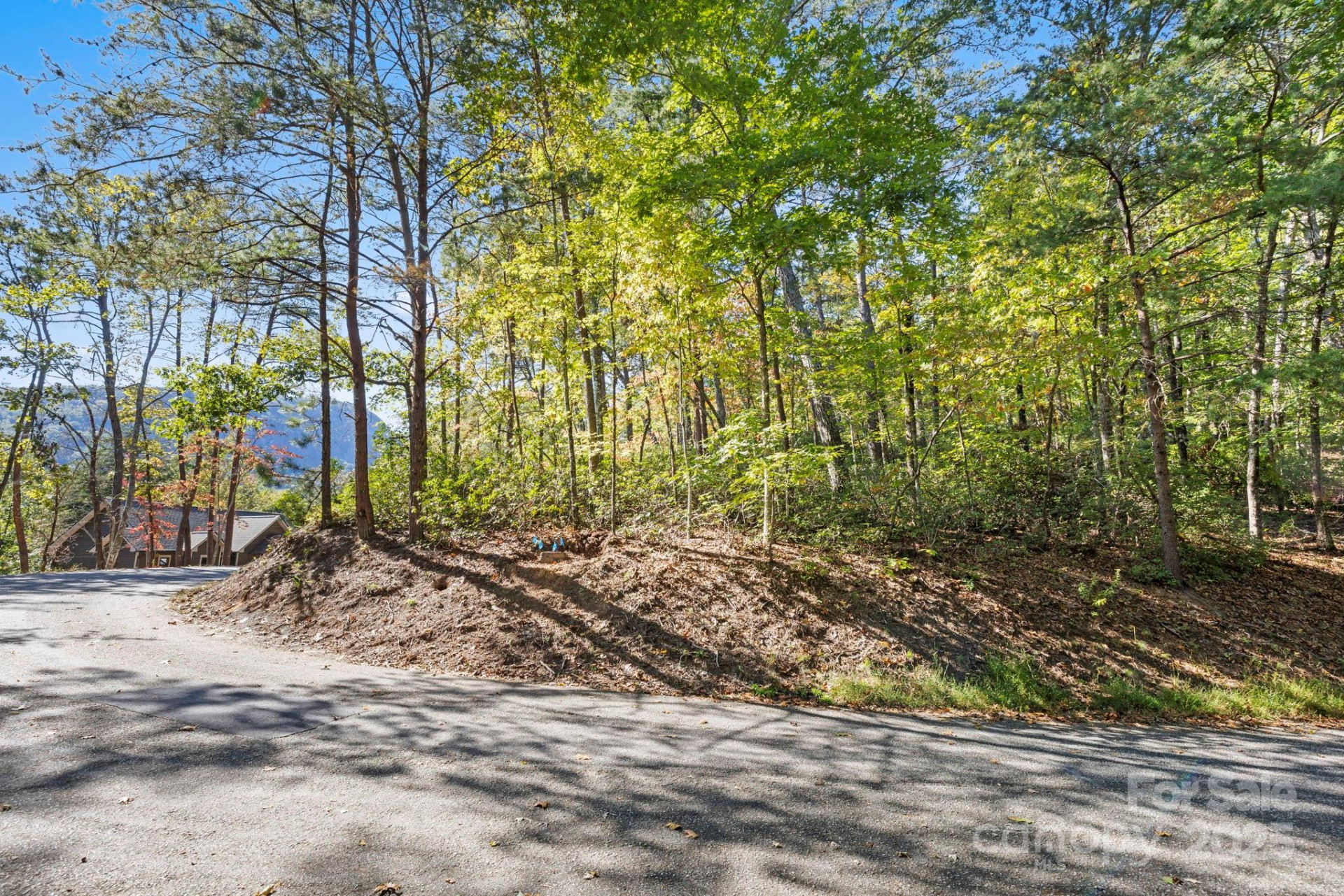 Lot 42 Palmer Place - Photo 2