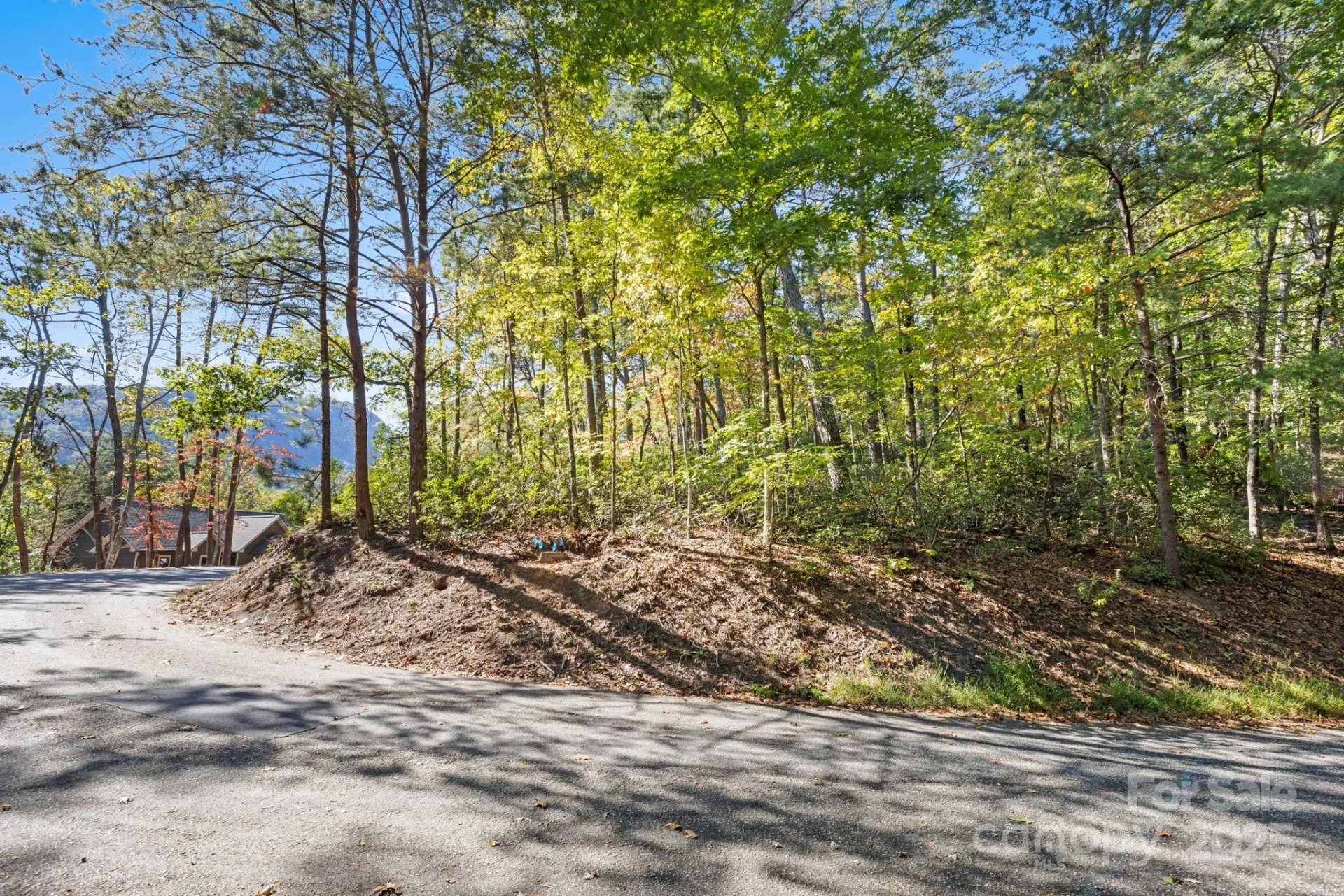 Lot 42 Palmer Place - Photo 2