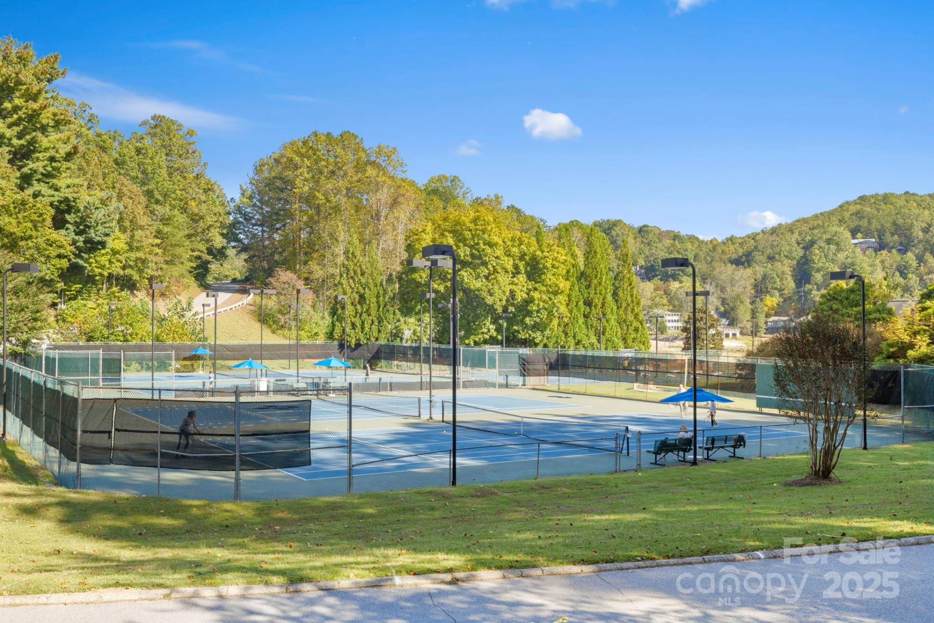 Lot 42 Palmer Place - Photo 12