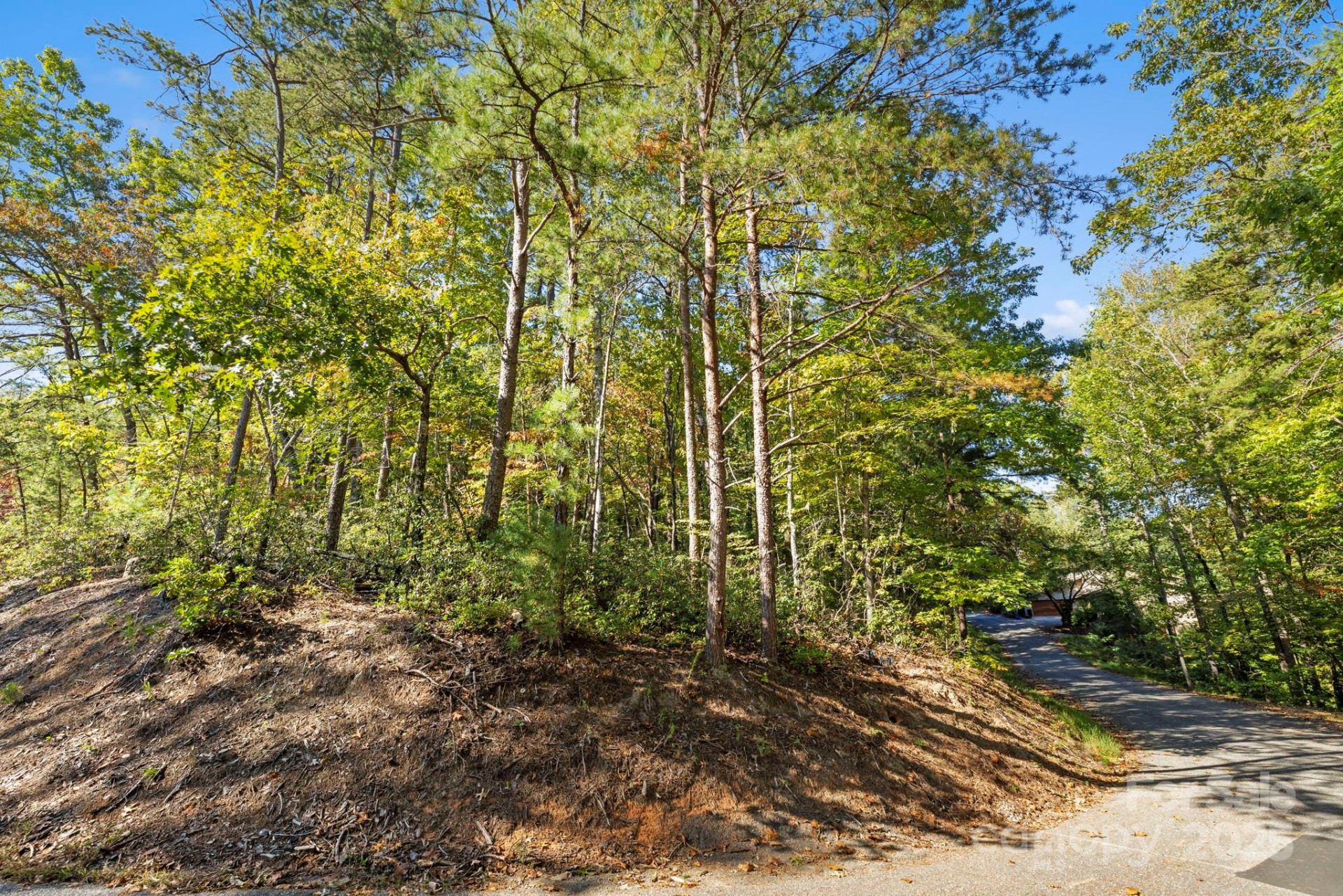 Lot 42 Palmer Place - Photo 3