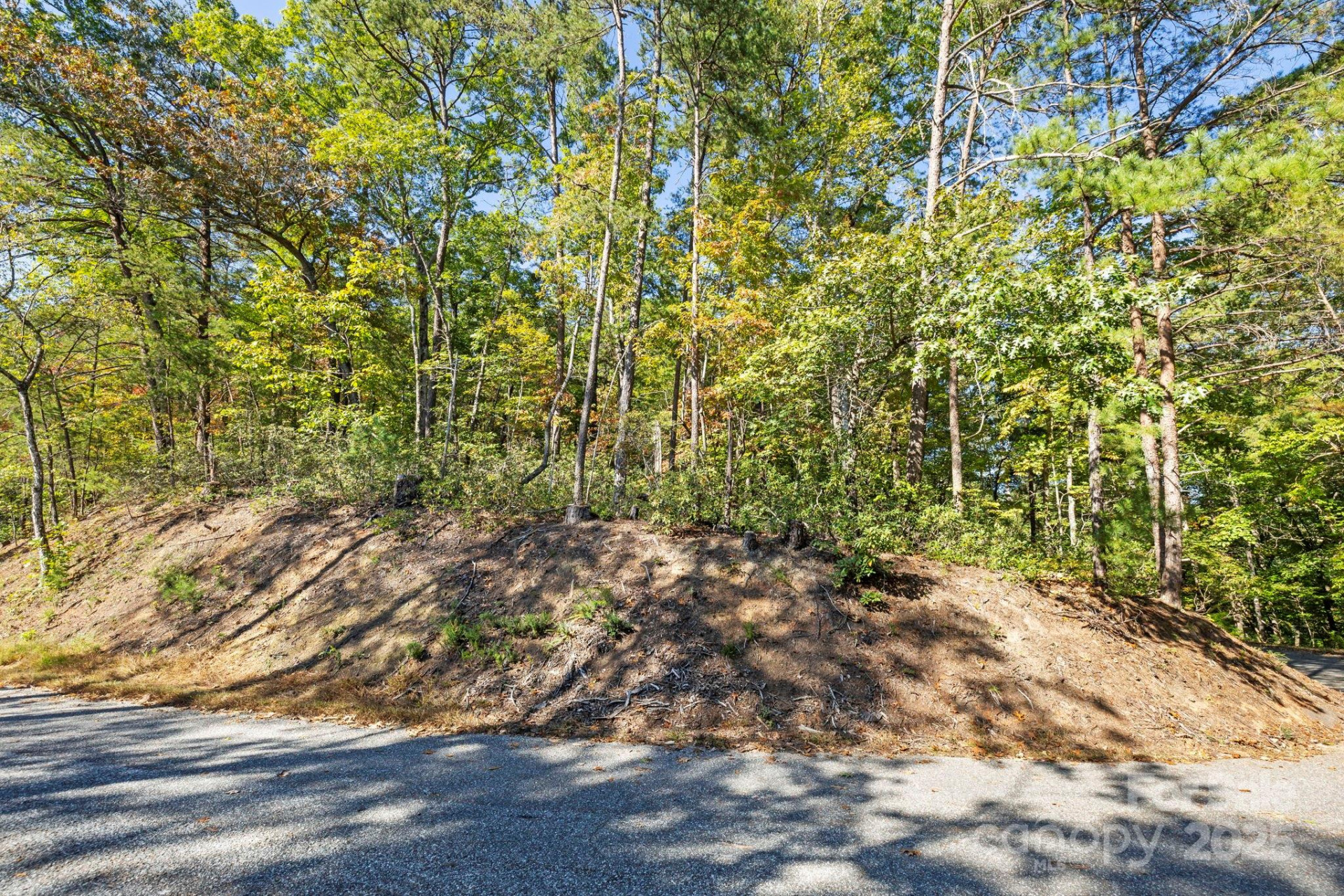 Lot 42 Palmer Place - Photo 4