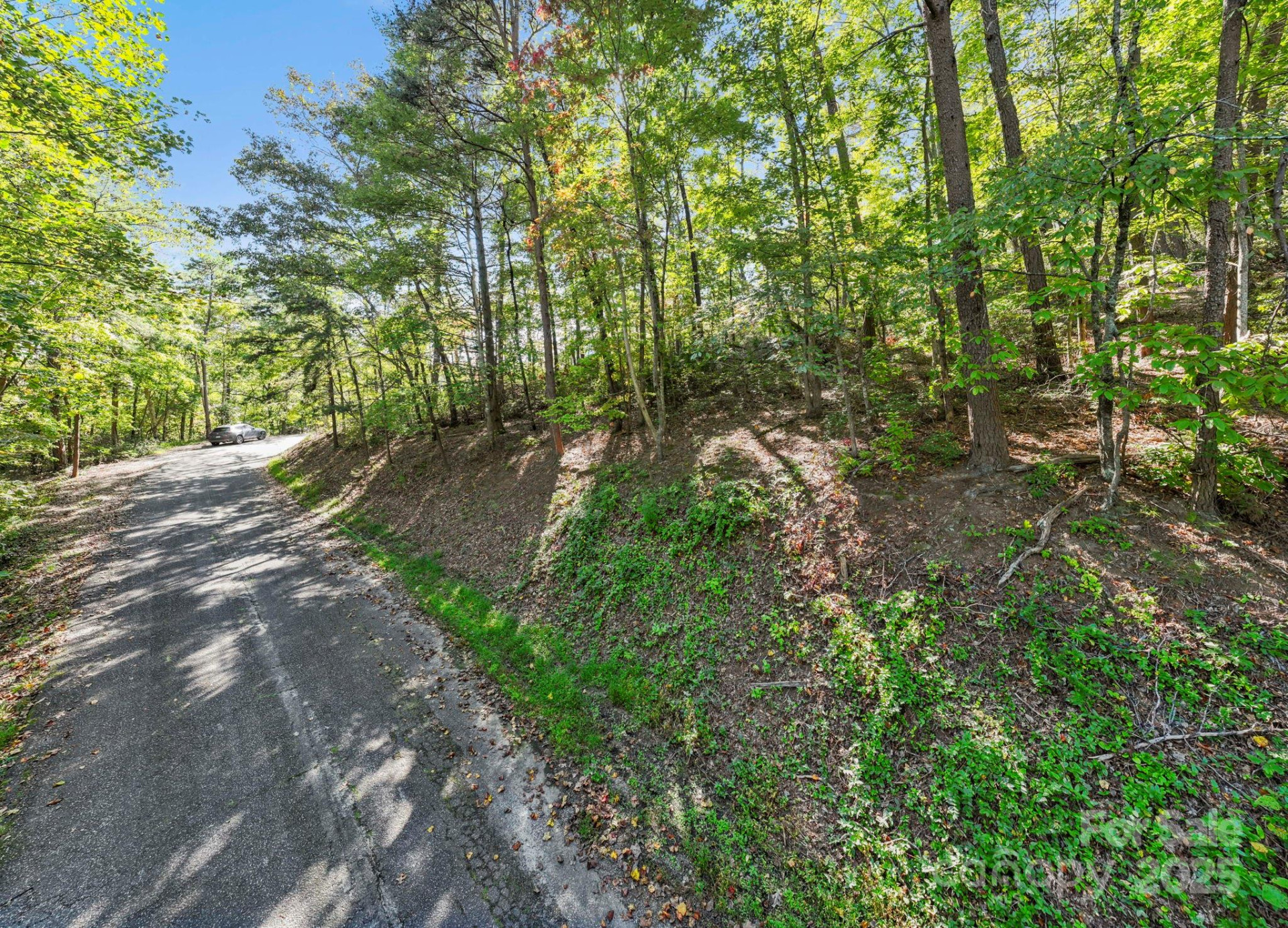 Lot 42 Palmer Place - Photo 5