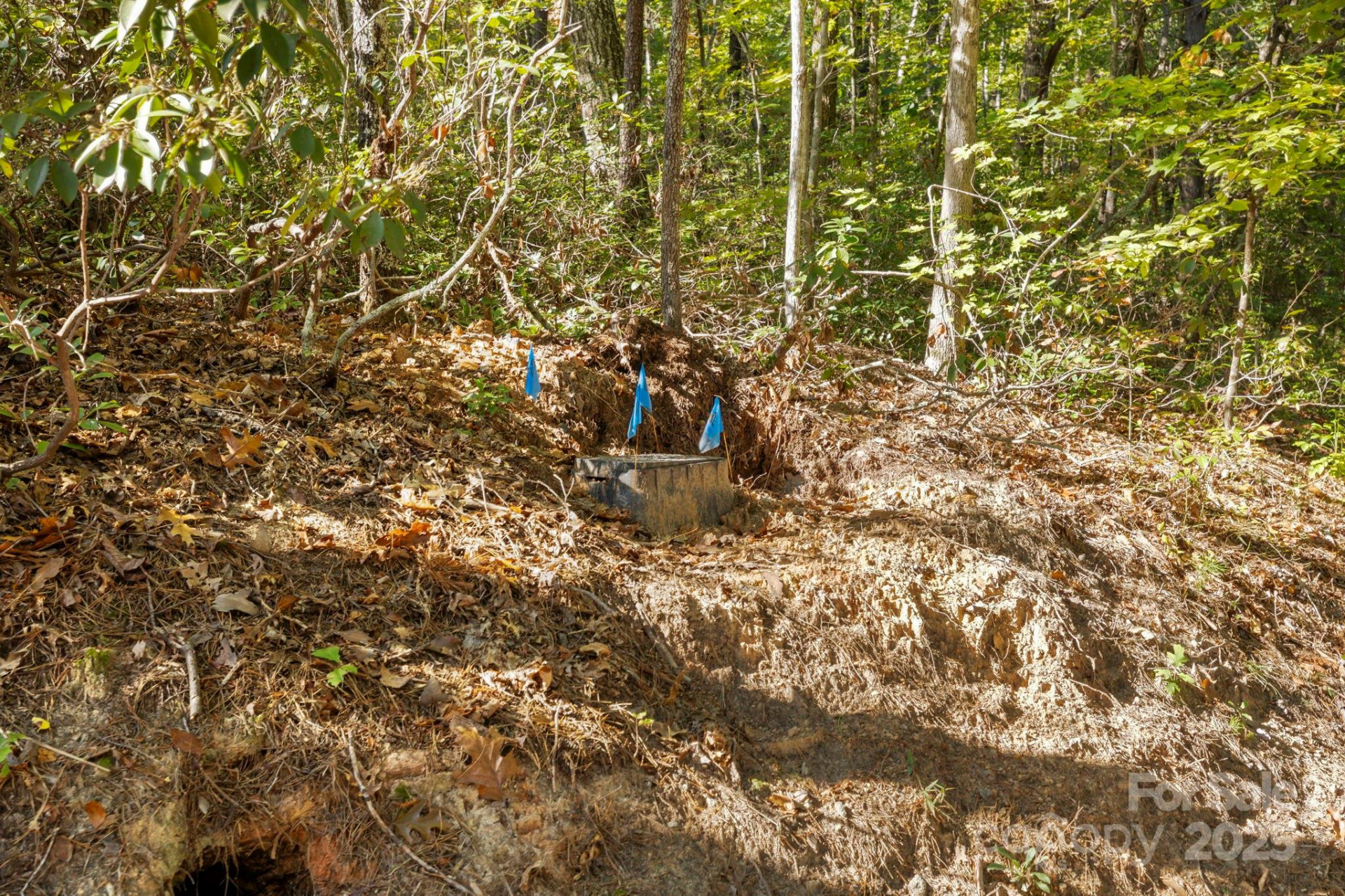 Lot 42 Palmer Place - Photo 6