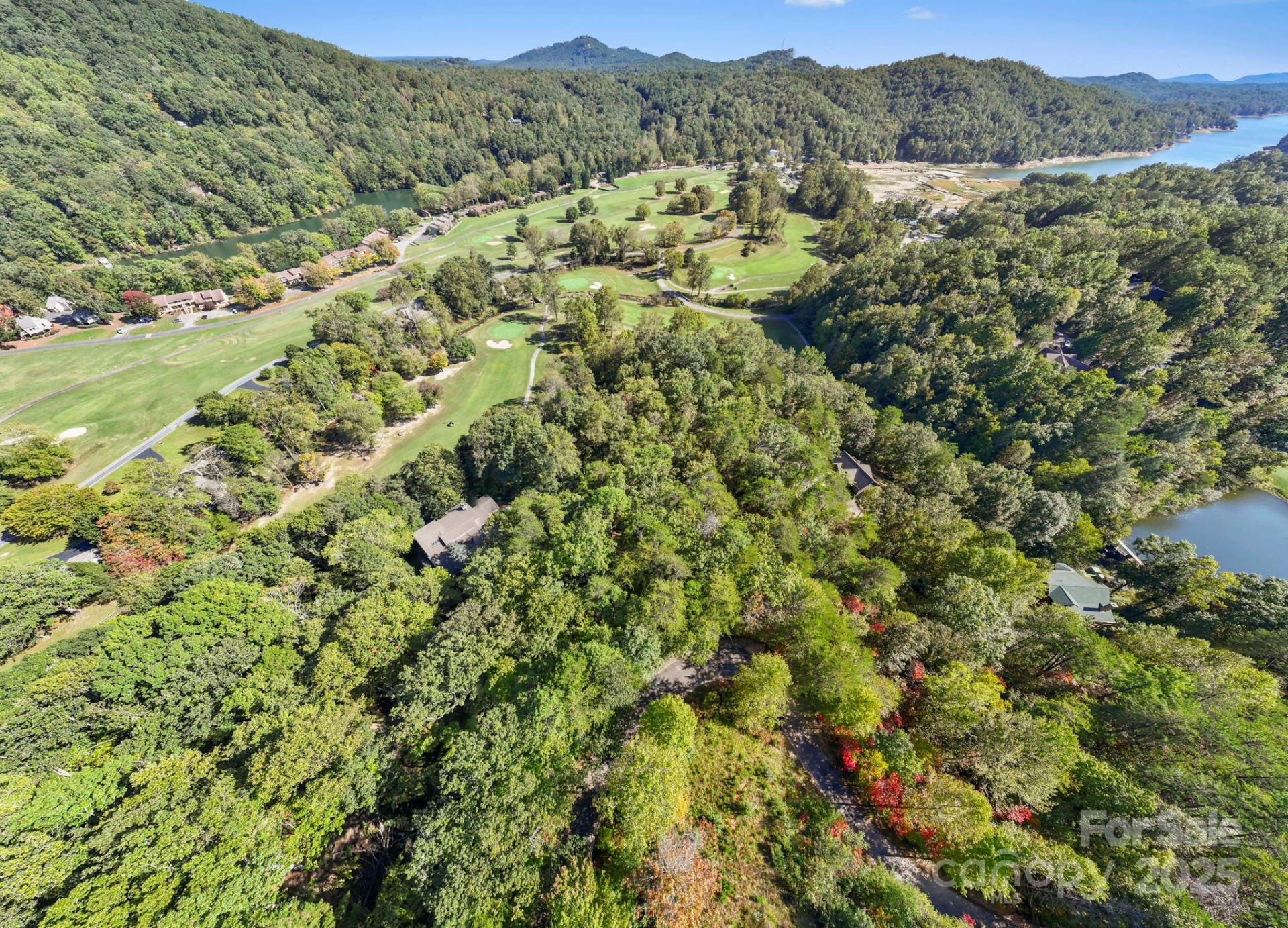 Lot 42 Palmer Place - Photo 8