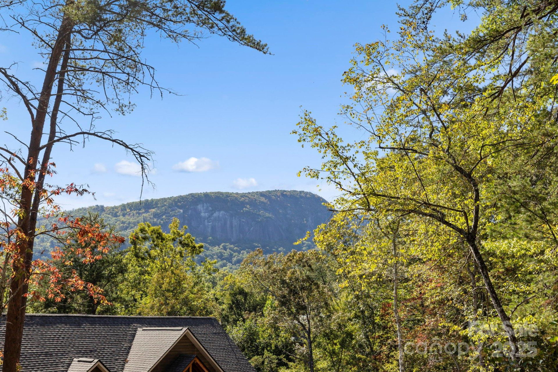 Lot 42 Palmer Place - Photo 9