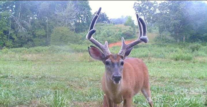 128 Cook Lane - Photo 25