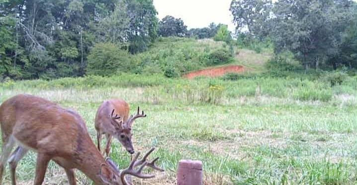 128 Cook Lane - Photo 27