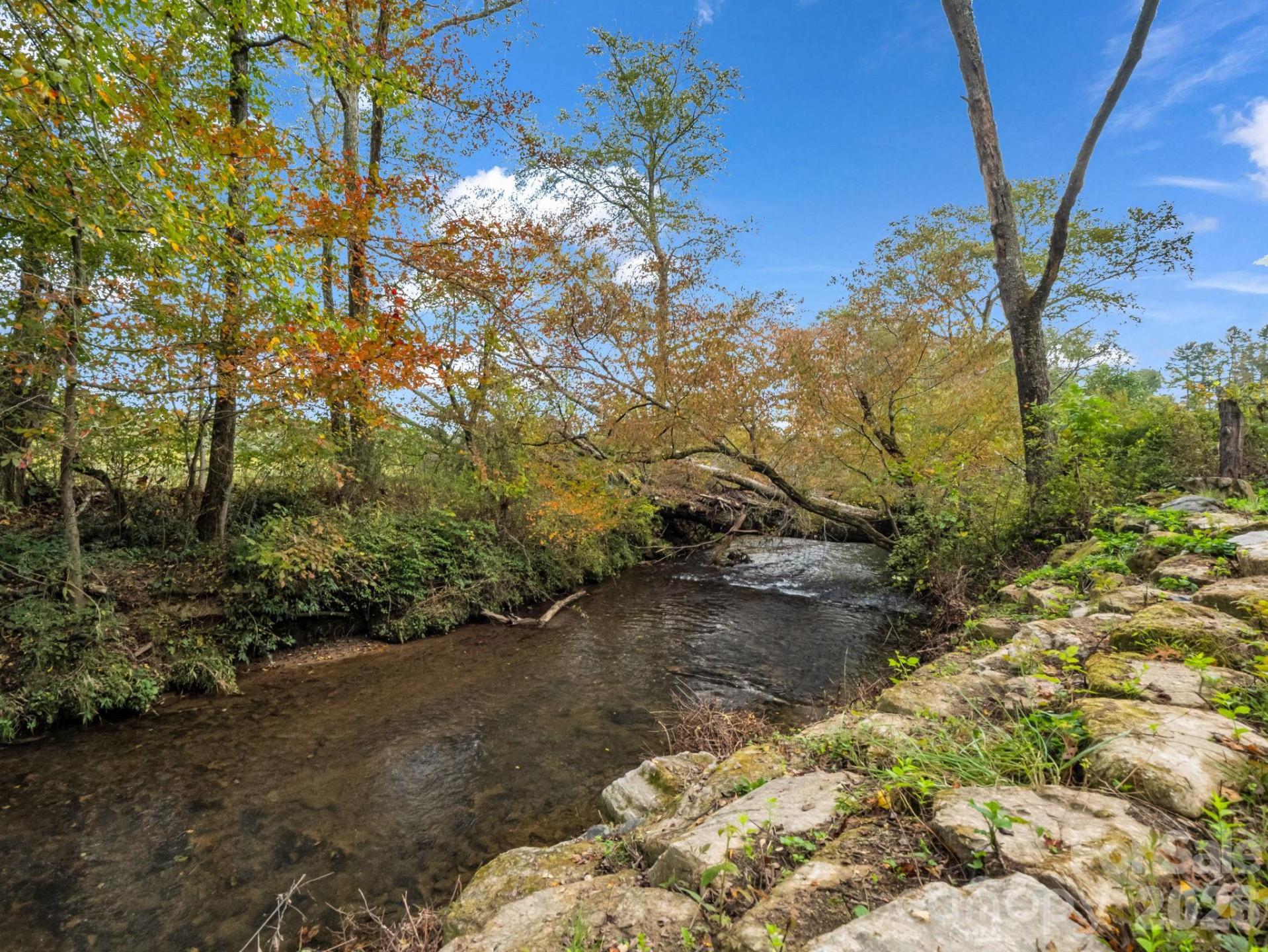 128 Cook Lane - Photo 35