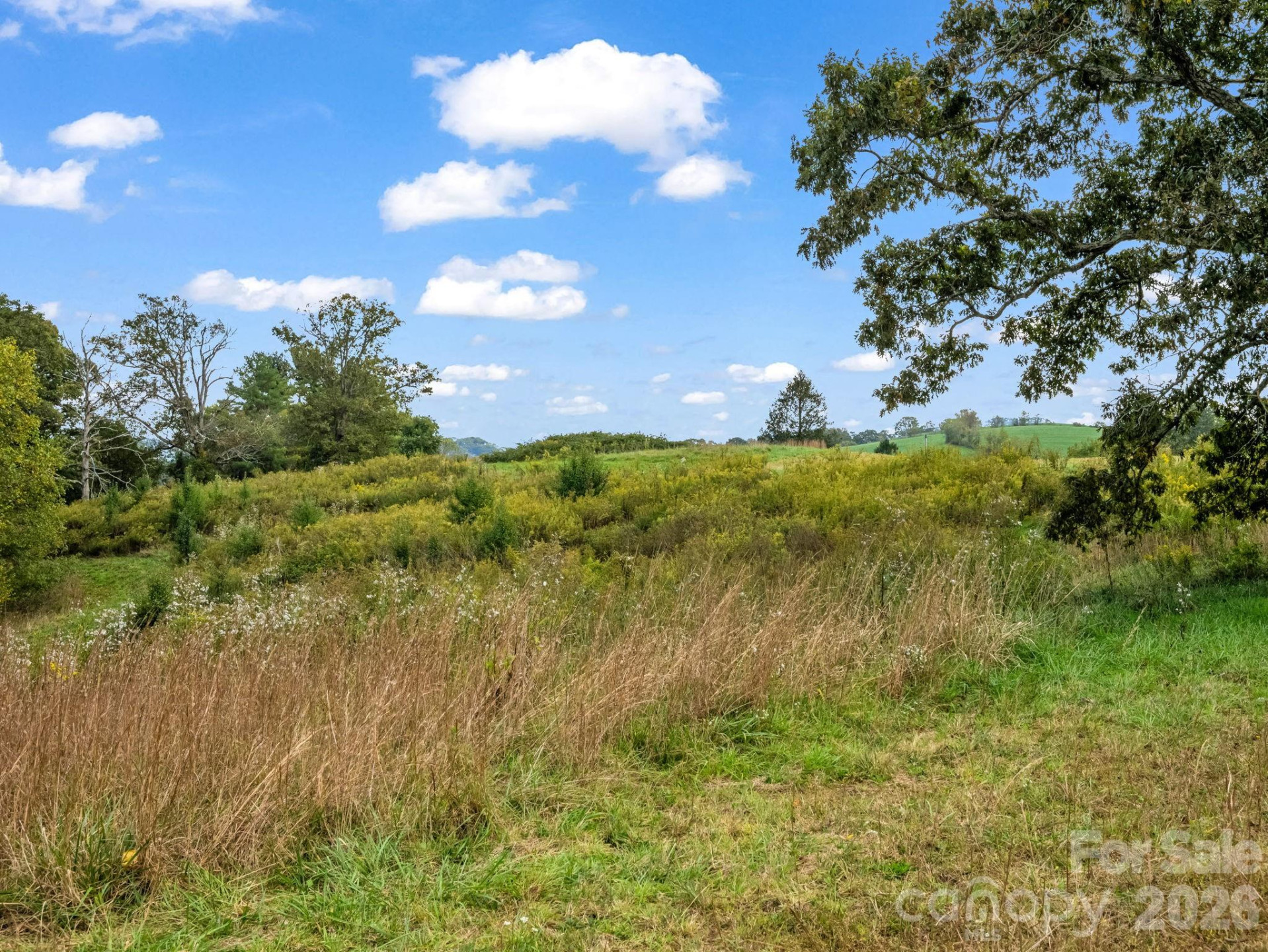 128 Cook Lane - Photo 65