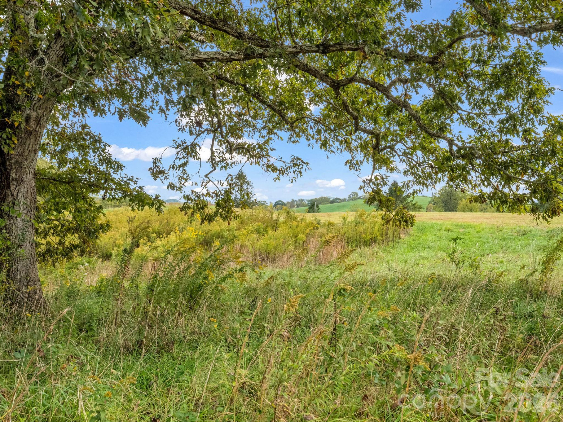 128 Cook Lane - Photo 9