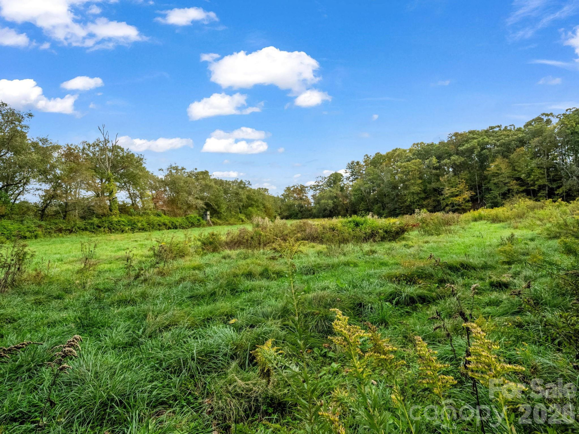 128 Cook Lane - Photo 85