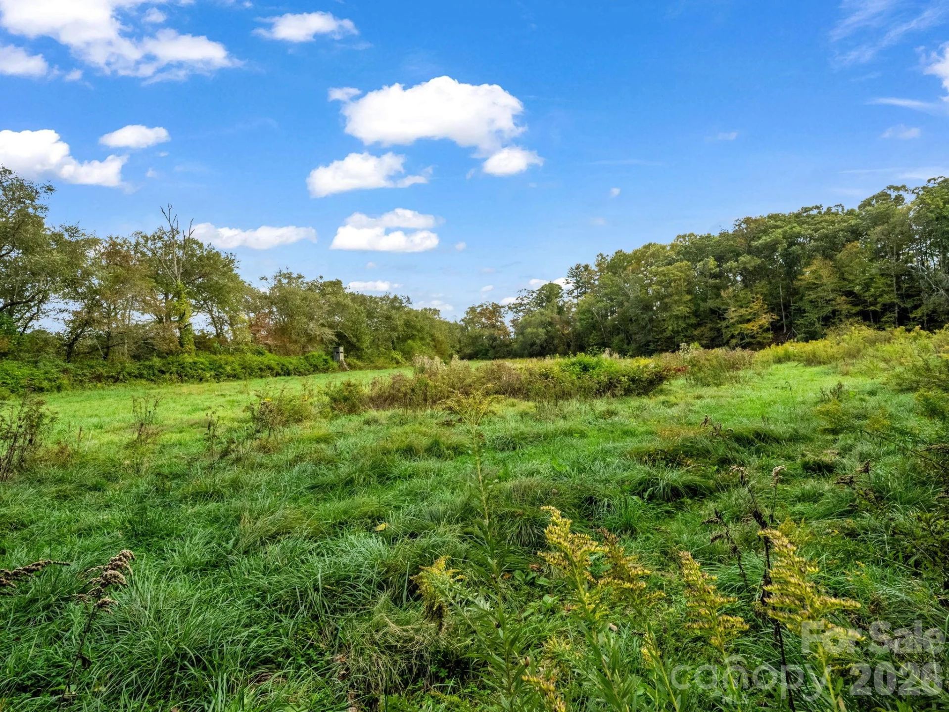 128 Cook Lane - Photo 85