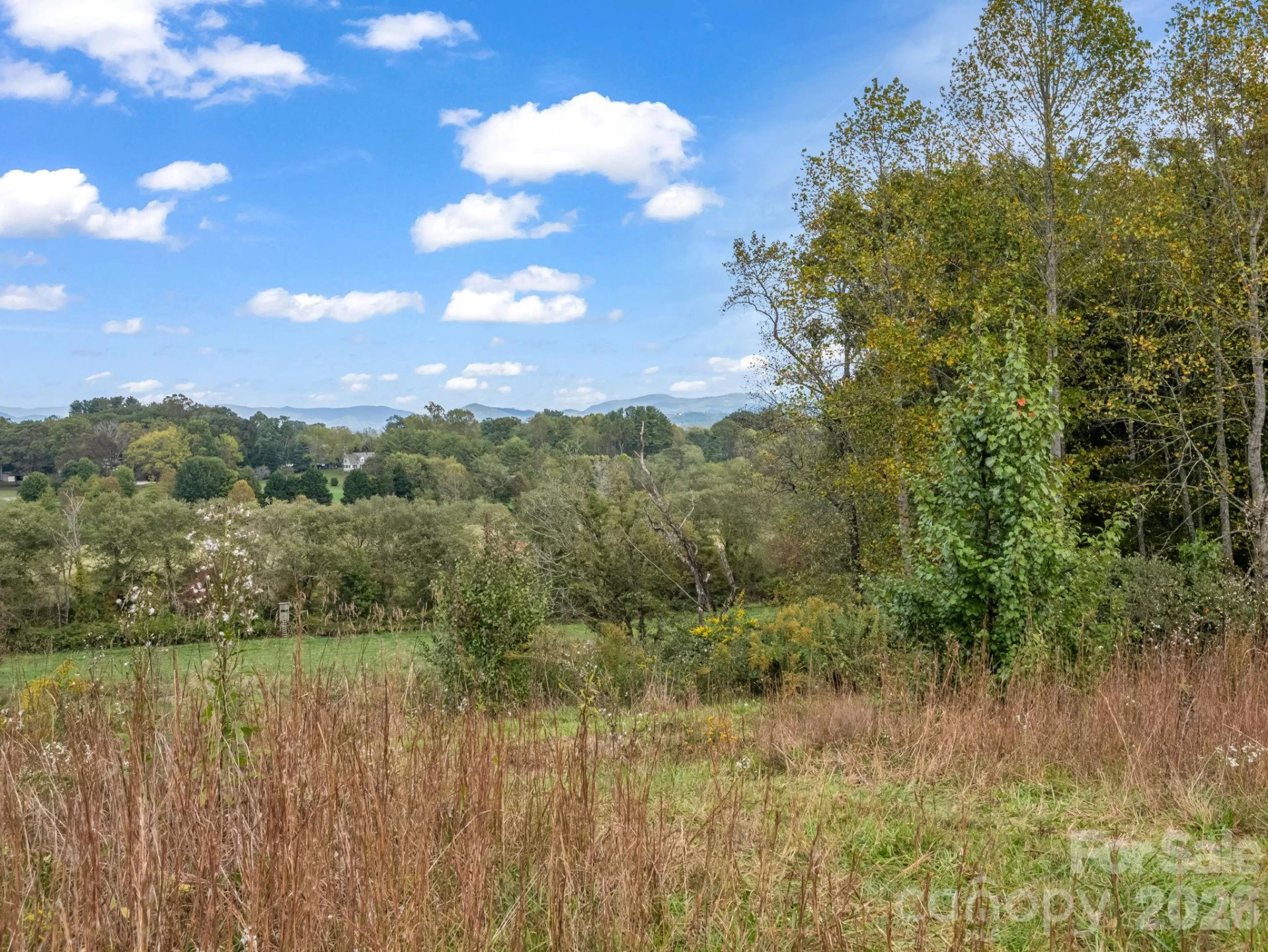 128 Cook Lane - Photo 11