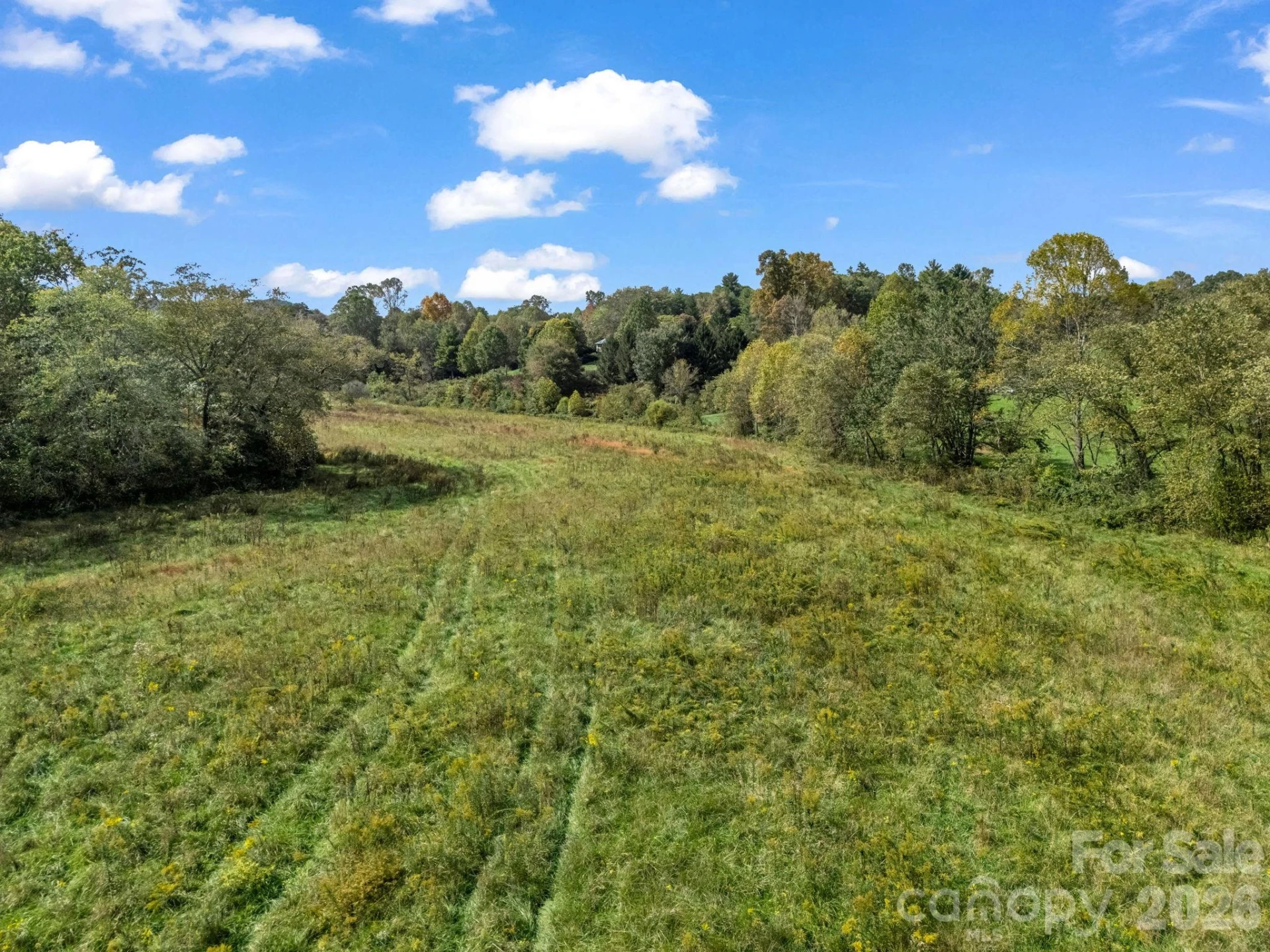 128 Cook Lane - Photo 13