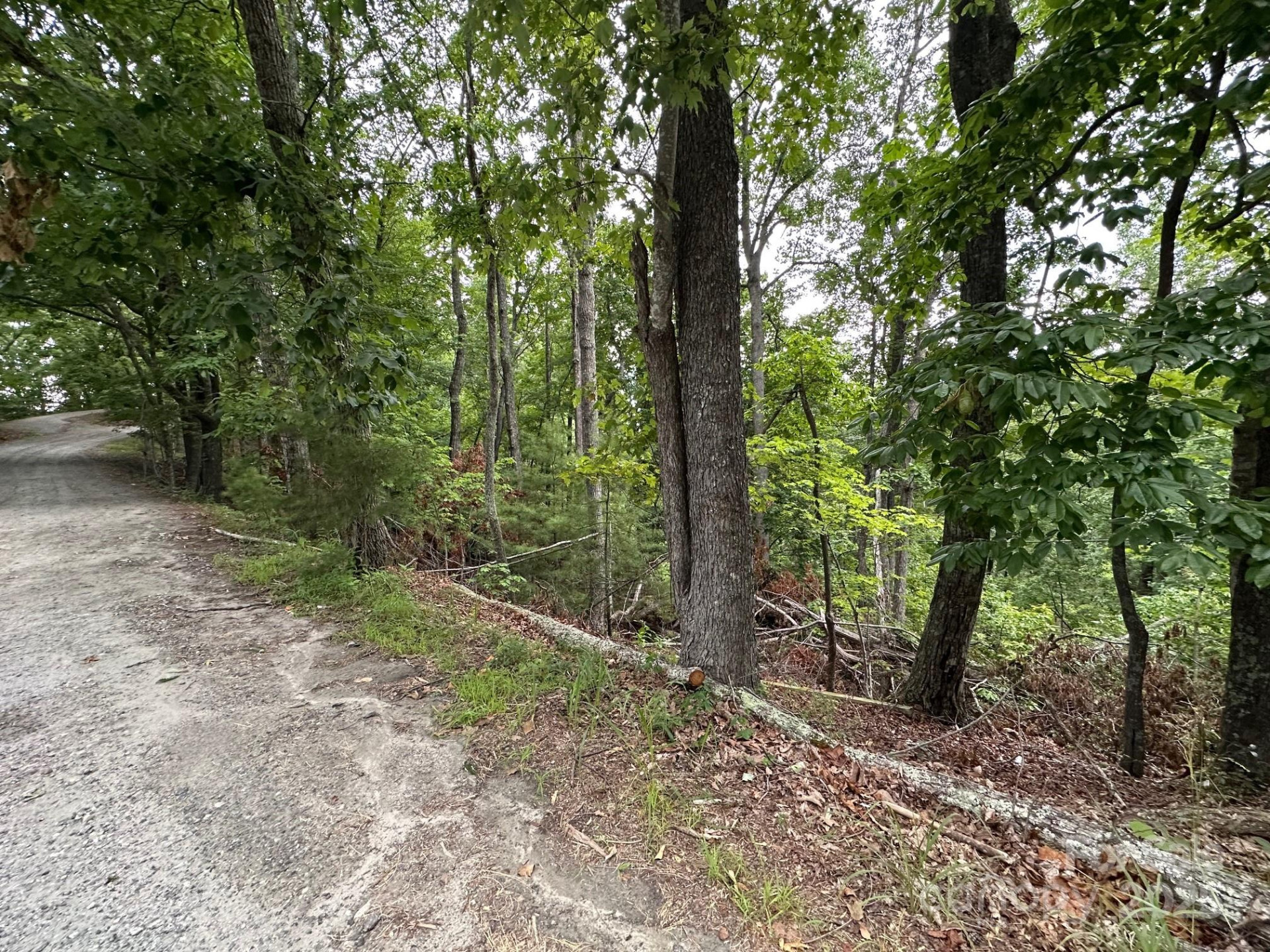 0 Buzzards Place #186 - Photo 3