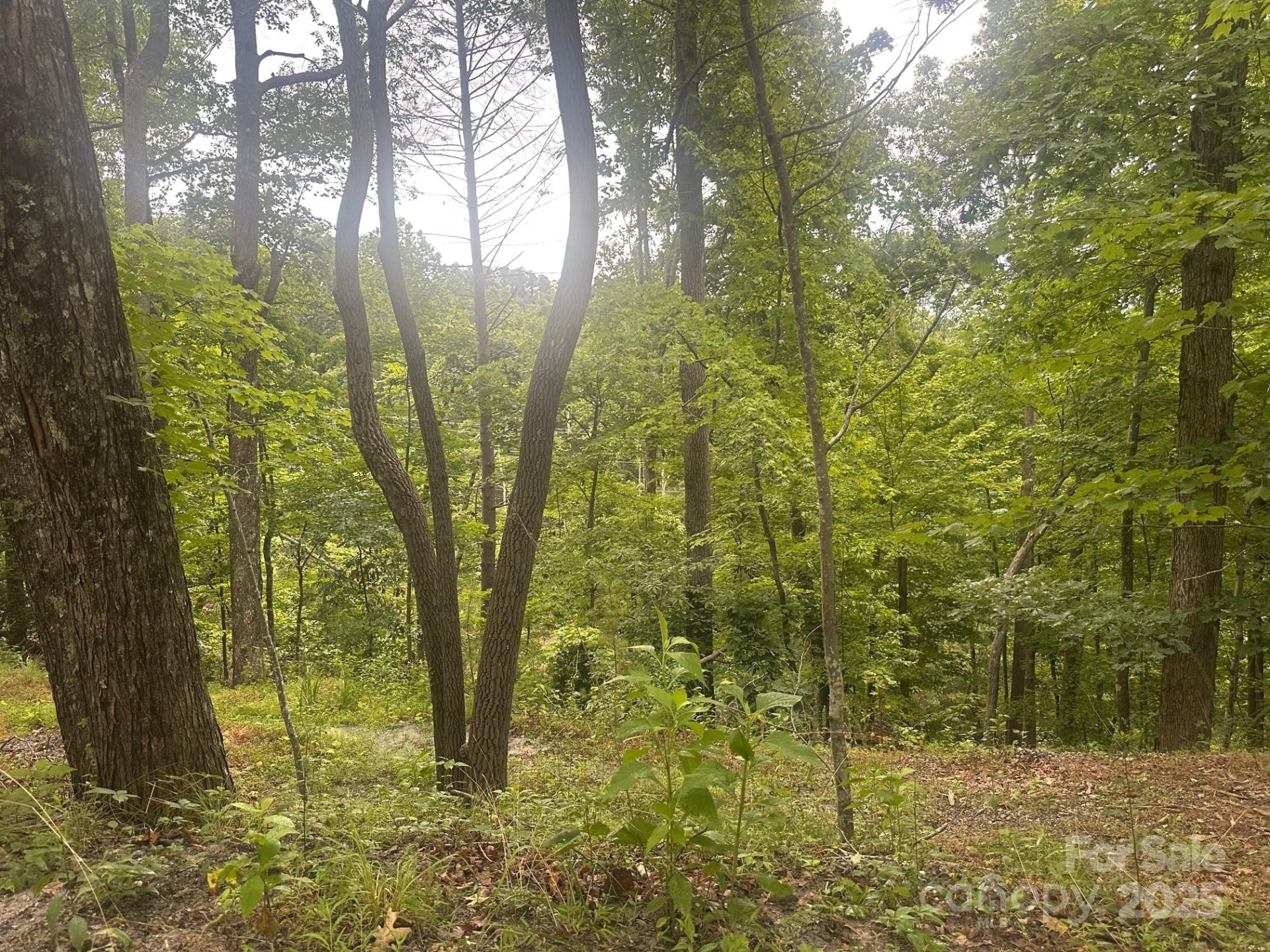 0 Buzzards Place #186 - Photo 4