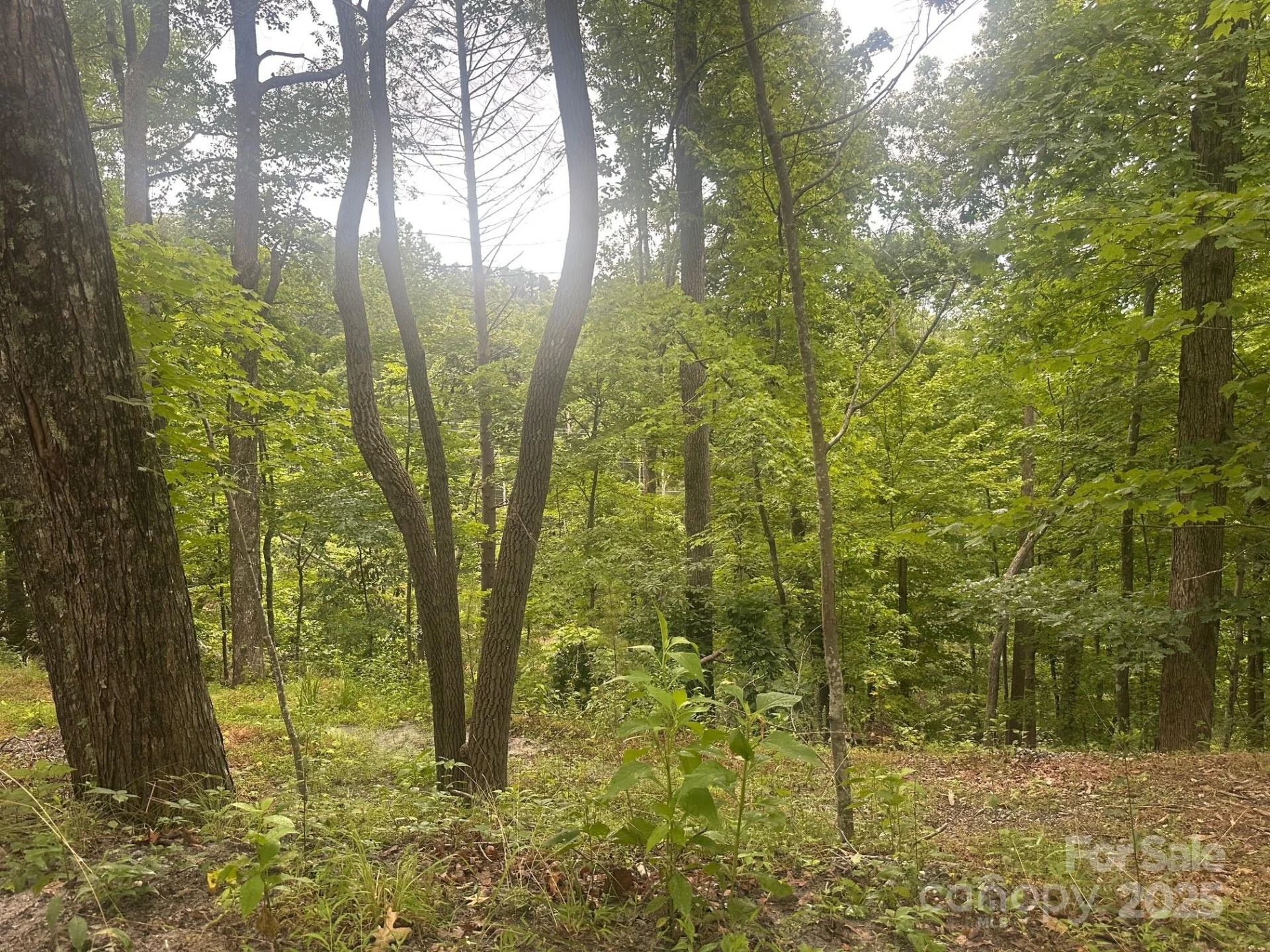 0 Buzzards Place #186 - Photo 4