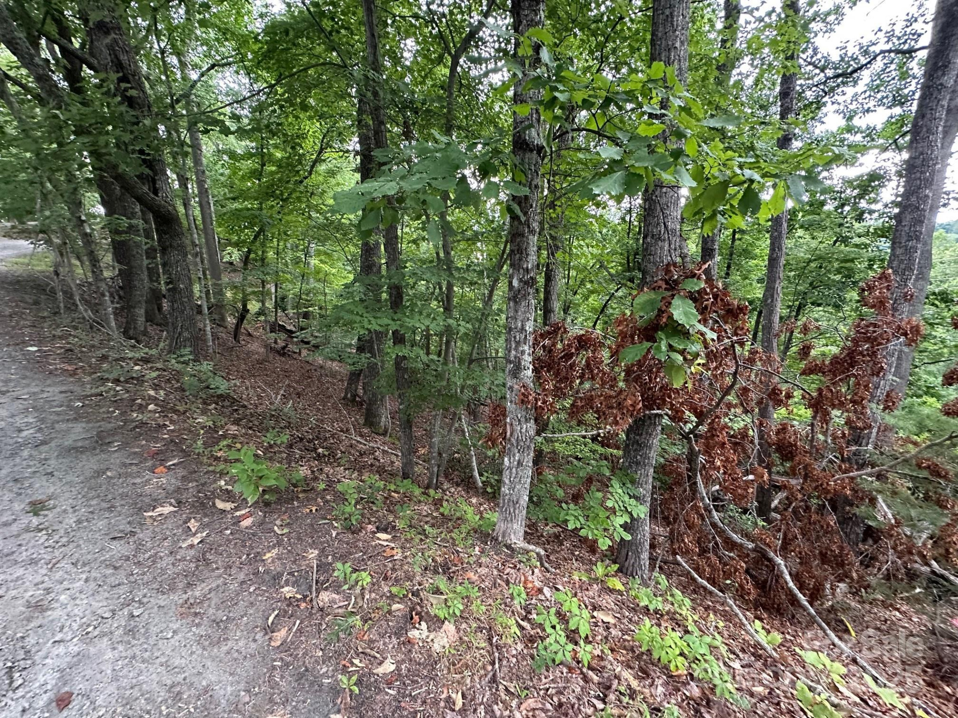 0 Buzzards Place #186 - Photo 5