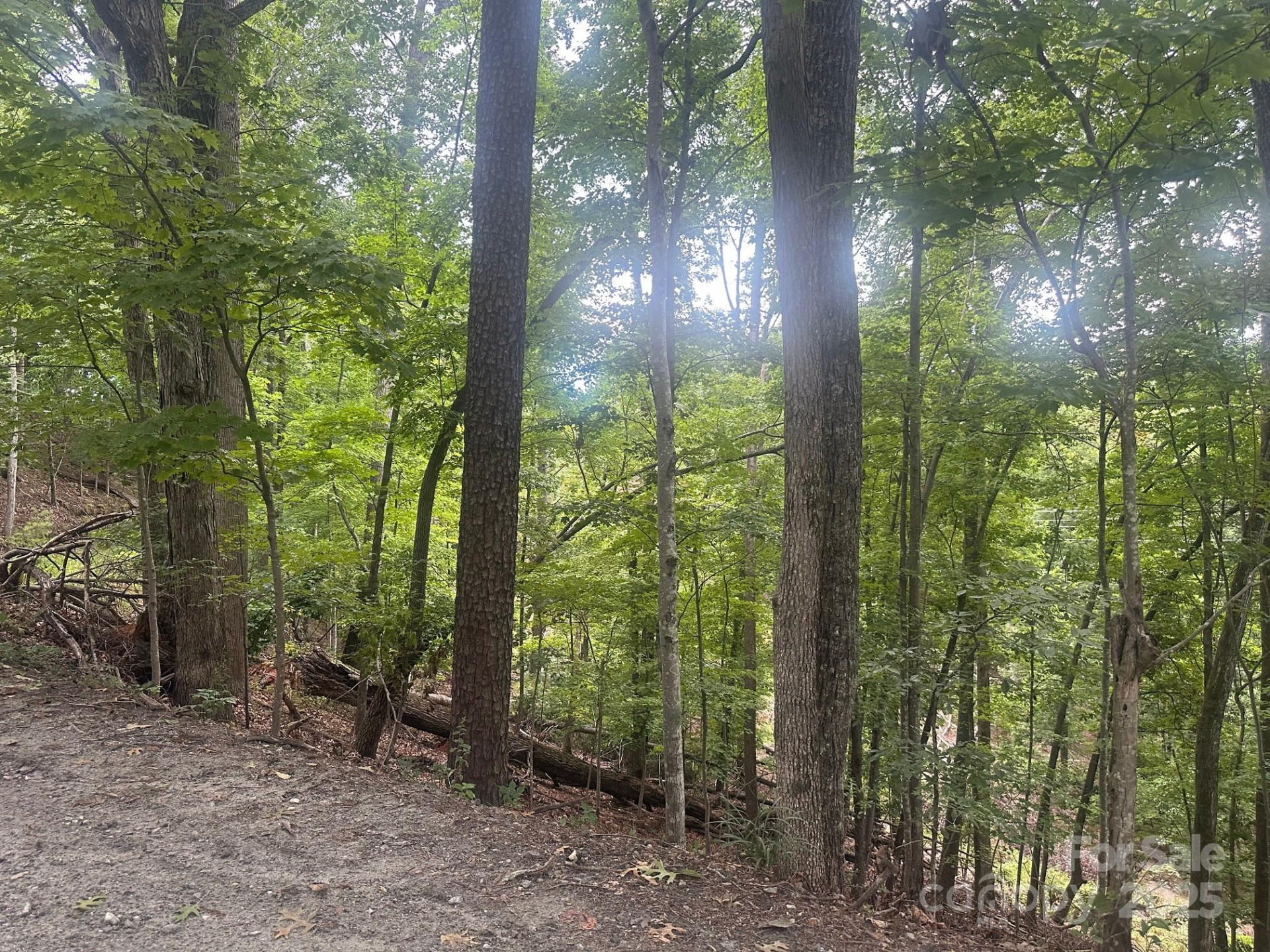 0 Buzzards Place #186 - Photo 6