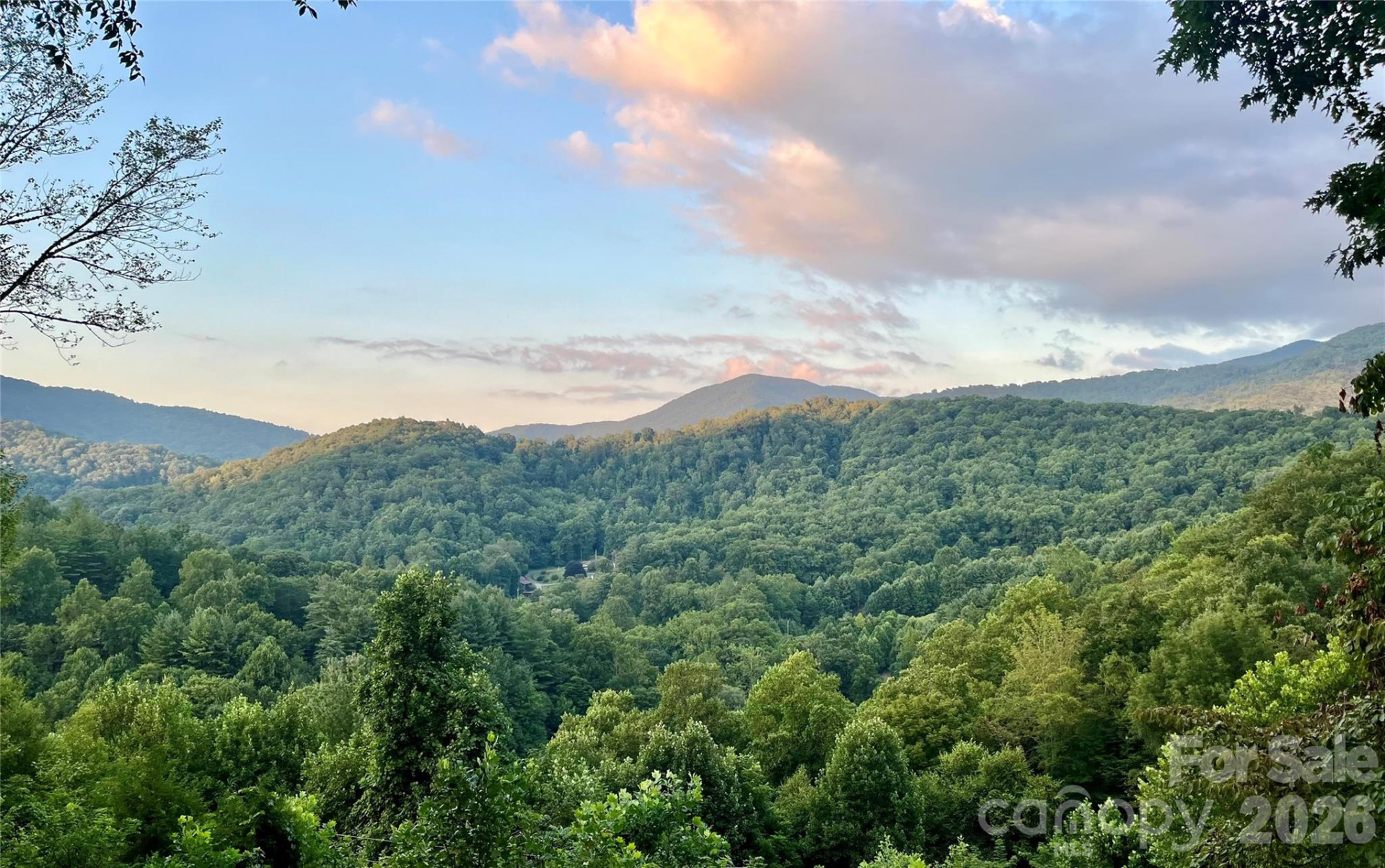 346 Appaloosa Trail - Photo 2