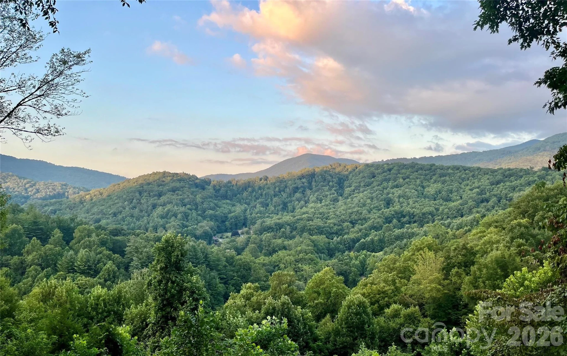 346 Appaloosa Trail - Photo 2