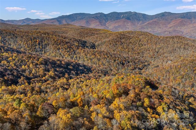 Lot 103 Alderfly Court, Spruce Pine, NC, 28777