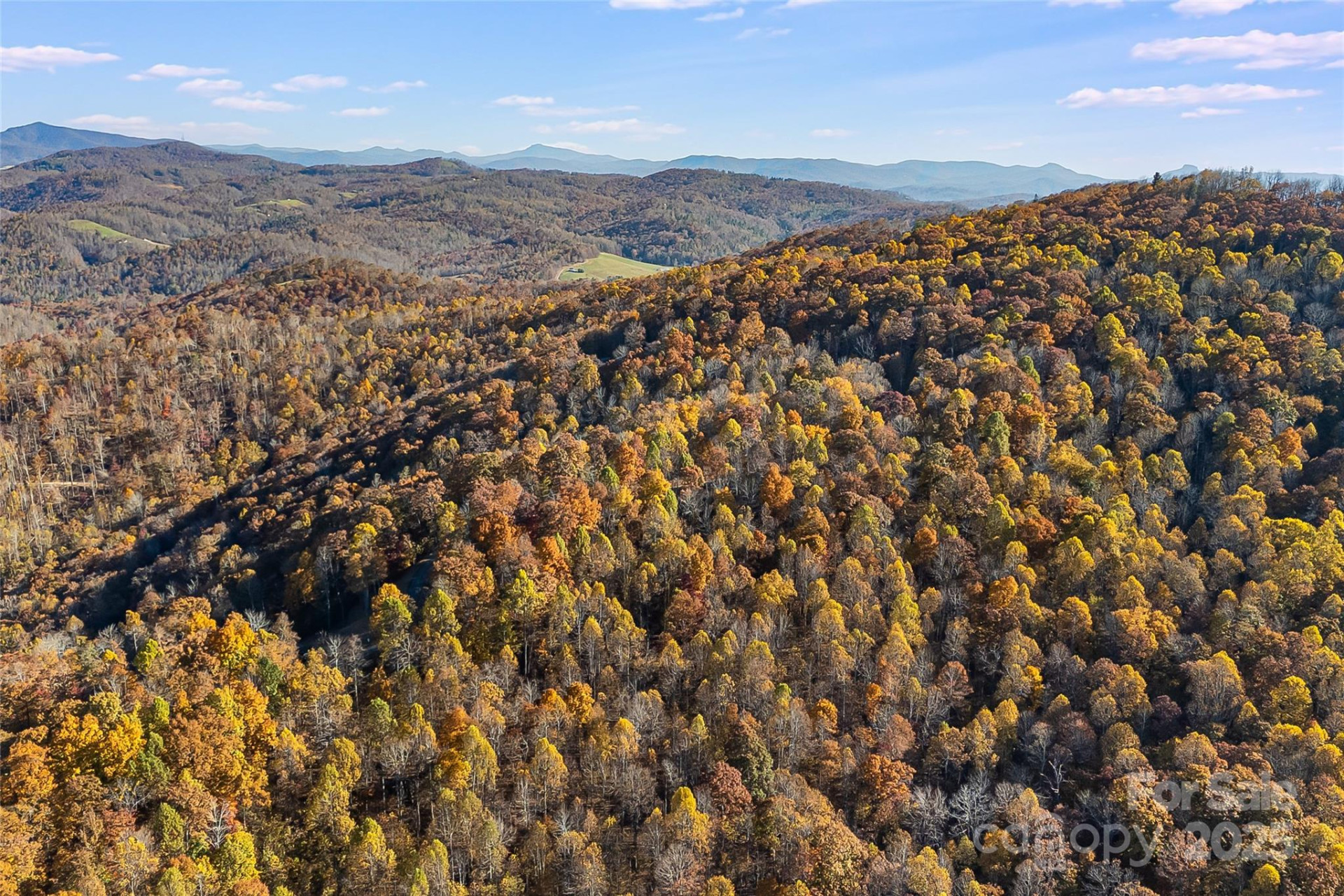 Lot 103 Alderfly Court - Photo 12