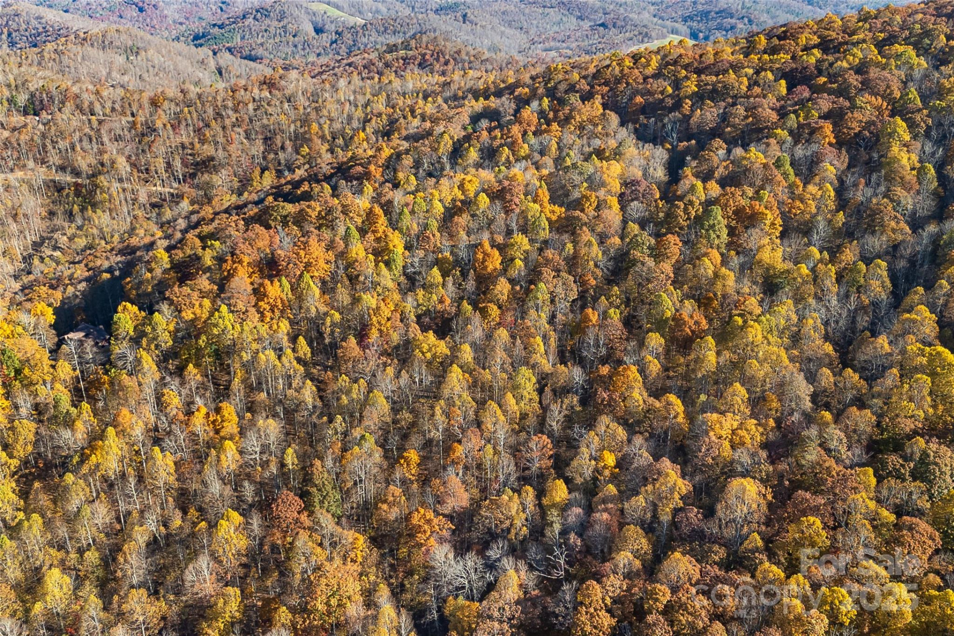 Lot 103 Alderfly Court - Photo 18