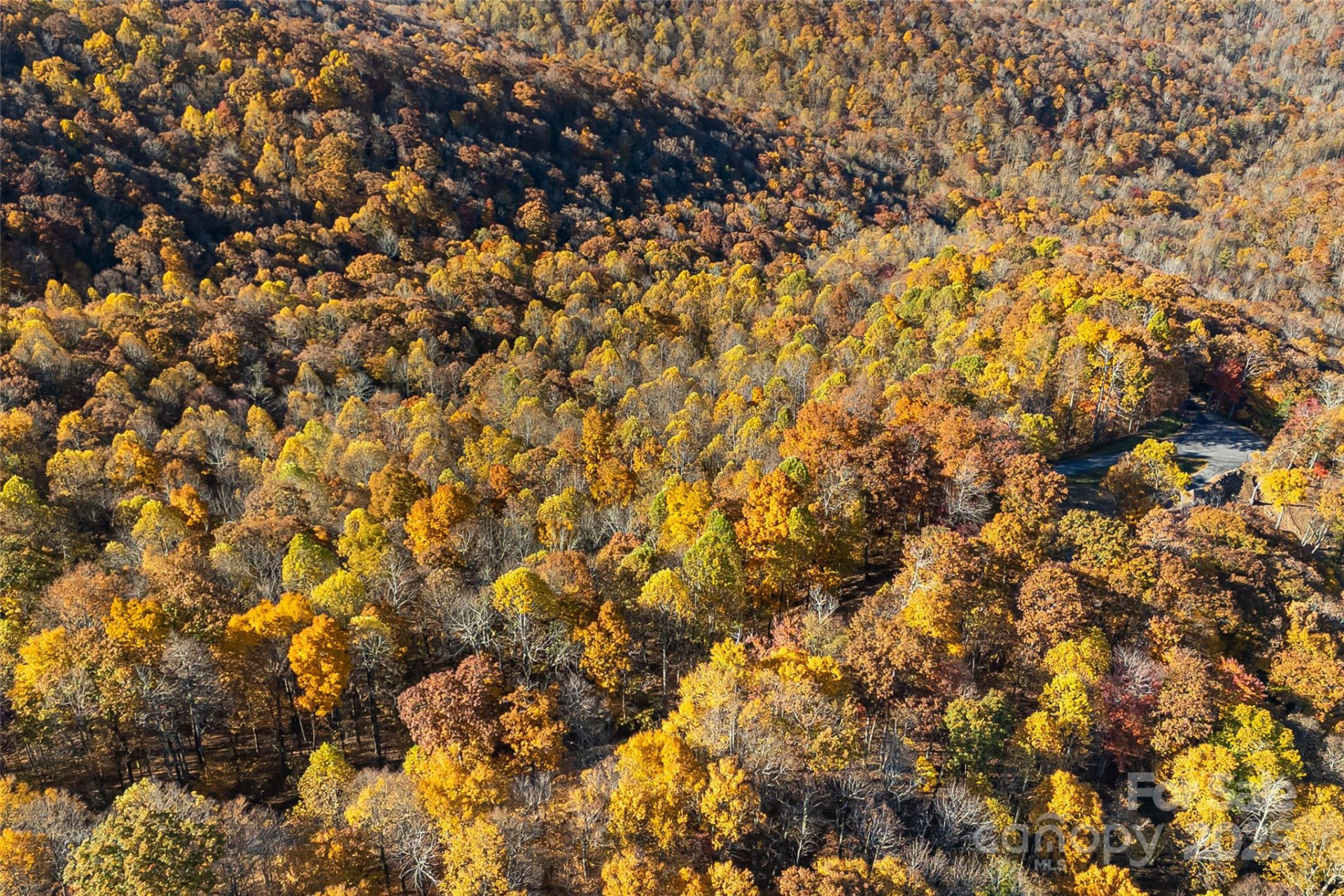 Lot 103 Alderfly Court - Photo 20