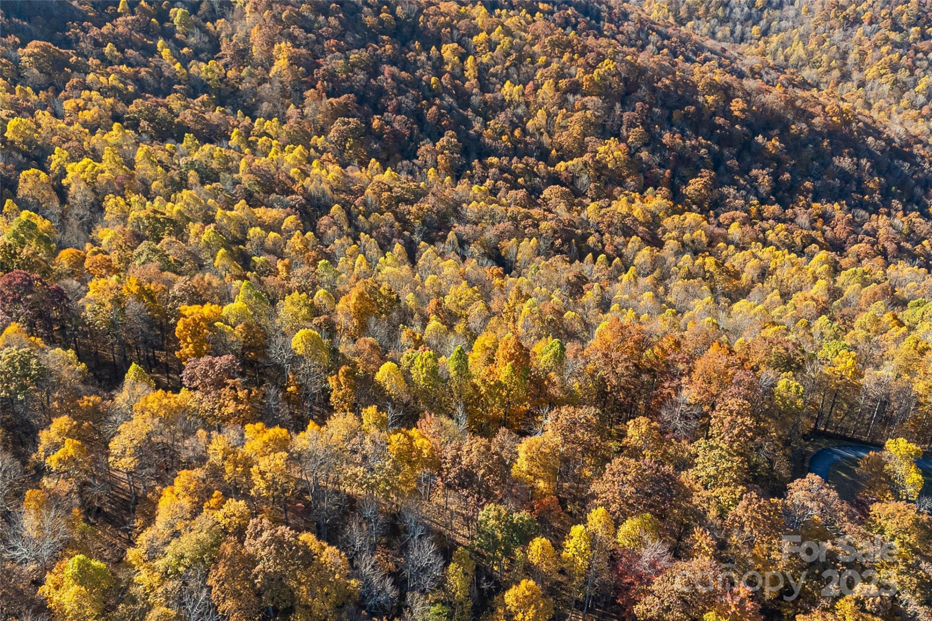 Lot 103 Alderfly Court - Photo 21