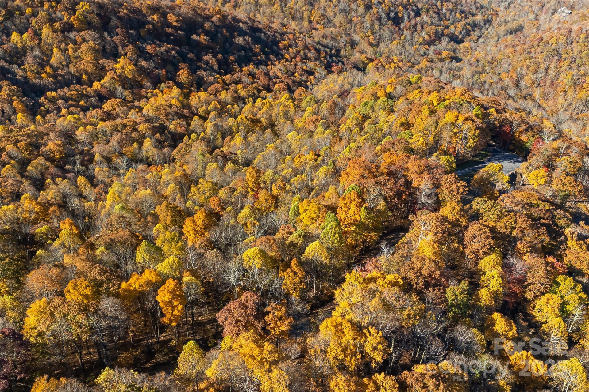 Lot 103 Alderfly Court - Photo 22