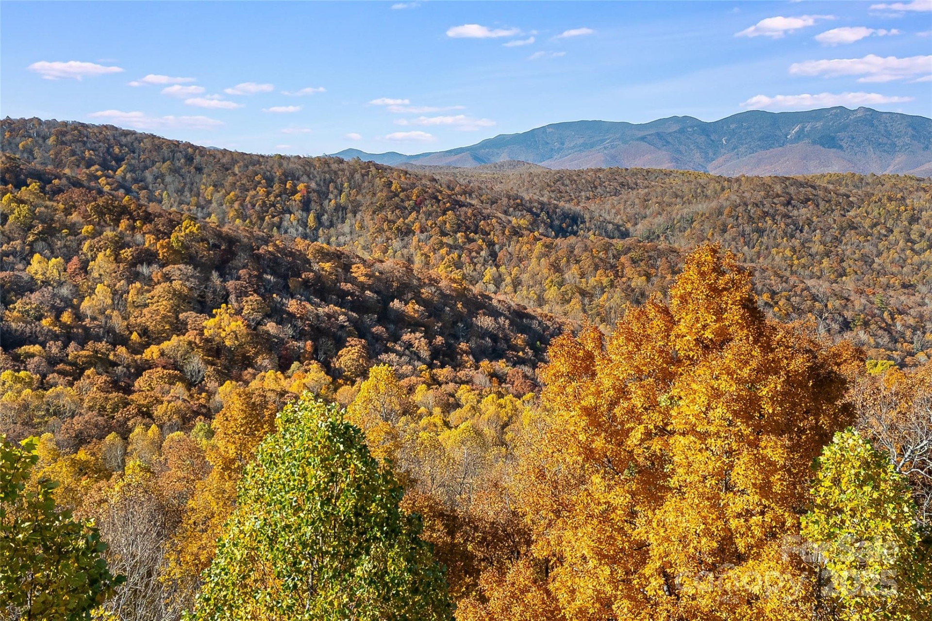 Lot 103 Alderfly Court - Photo 23