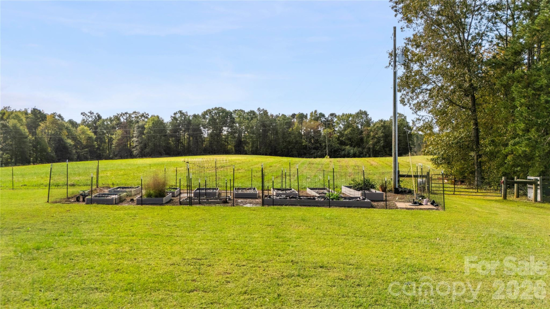 660 Scoggins Road - Photo 34