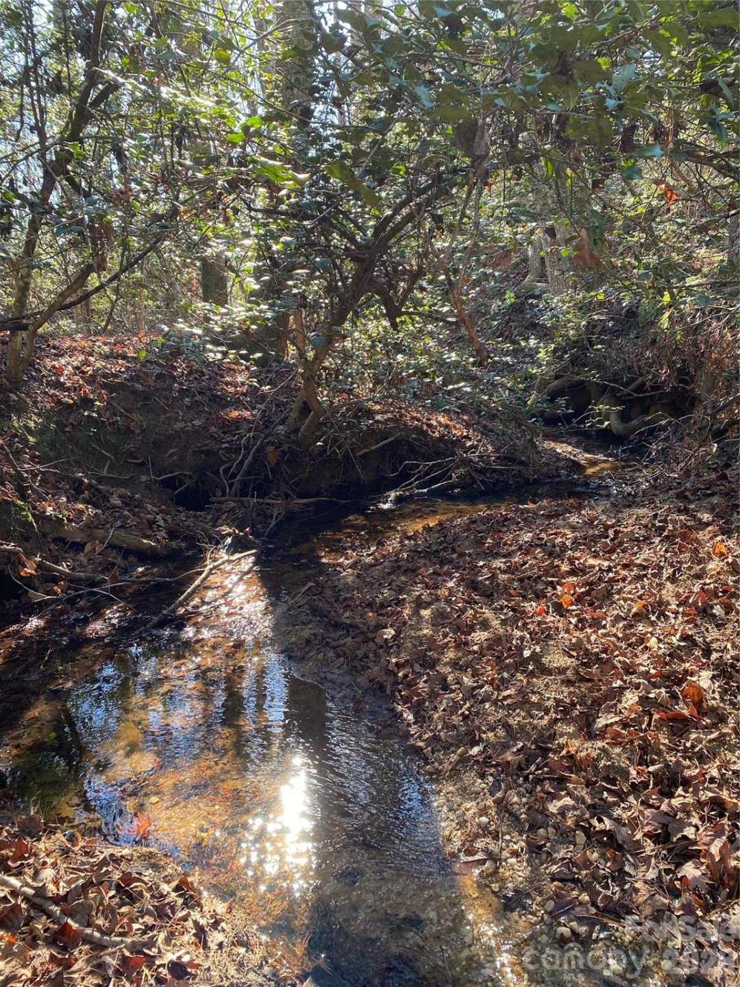 660 Scoggins Road - Photo 44