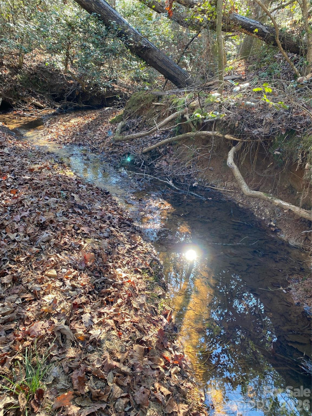 660 Scoggins Road - Photo 45